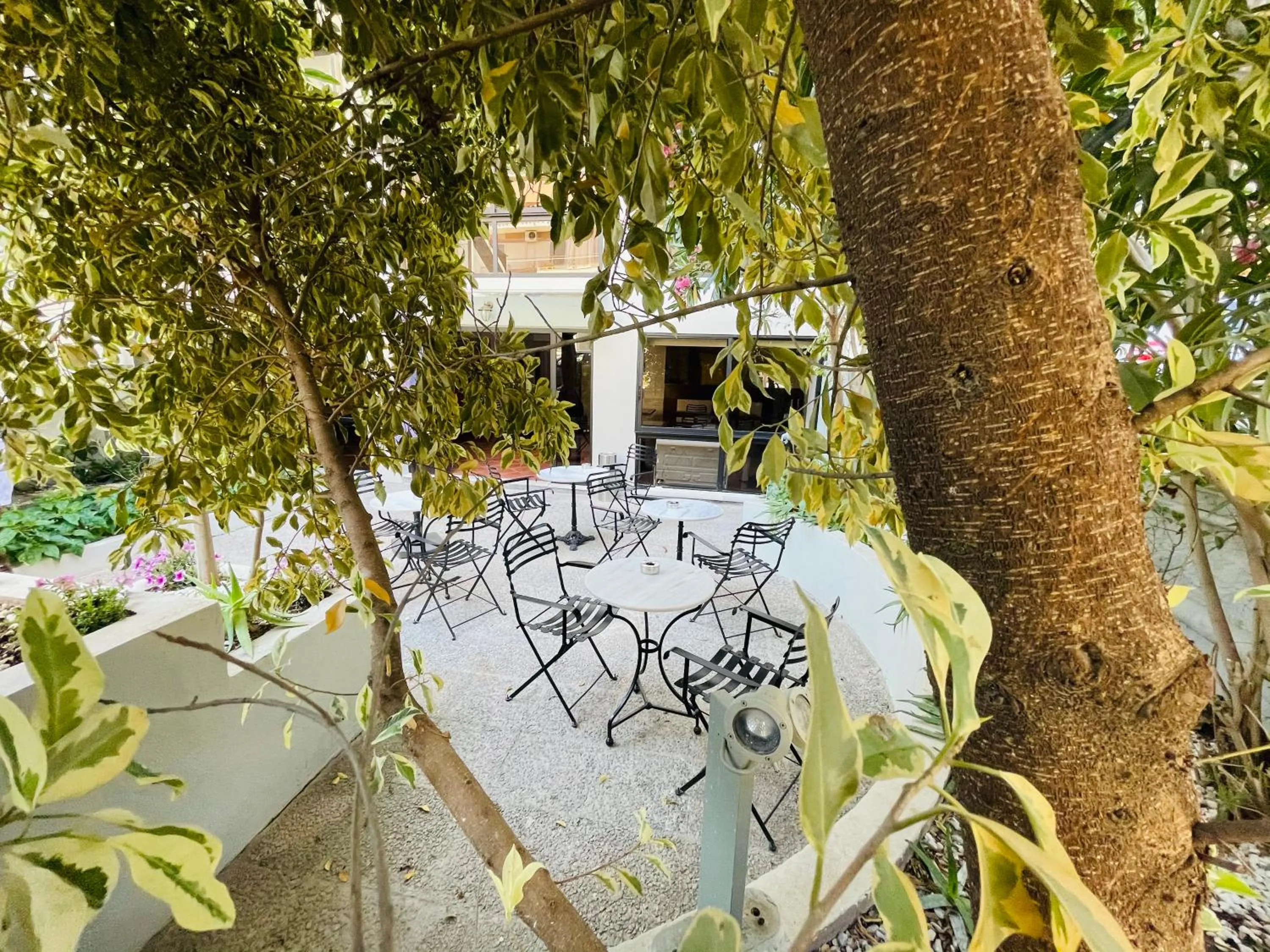 Garden in Platon Hotel