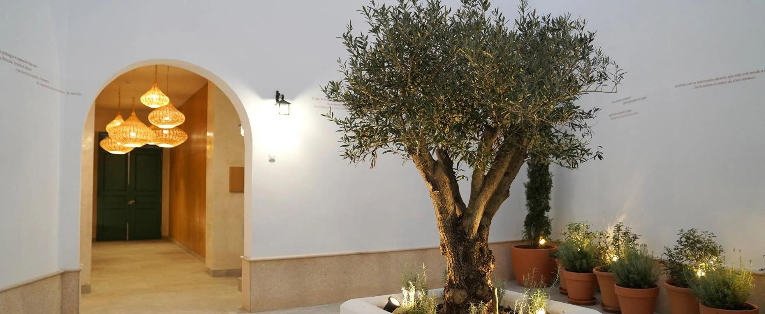 Patio in CASA DE LA VEGA SUITES