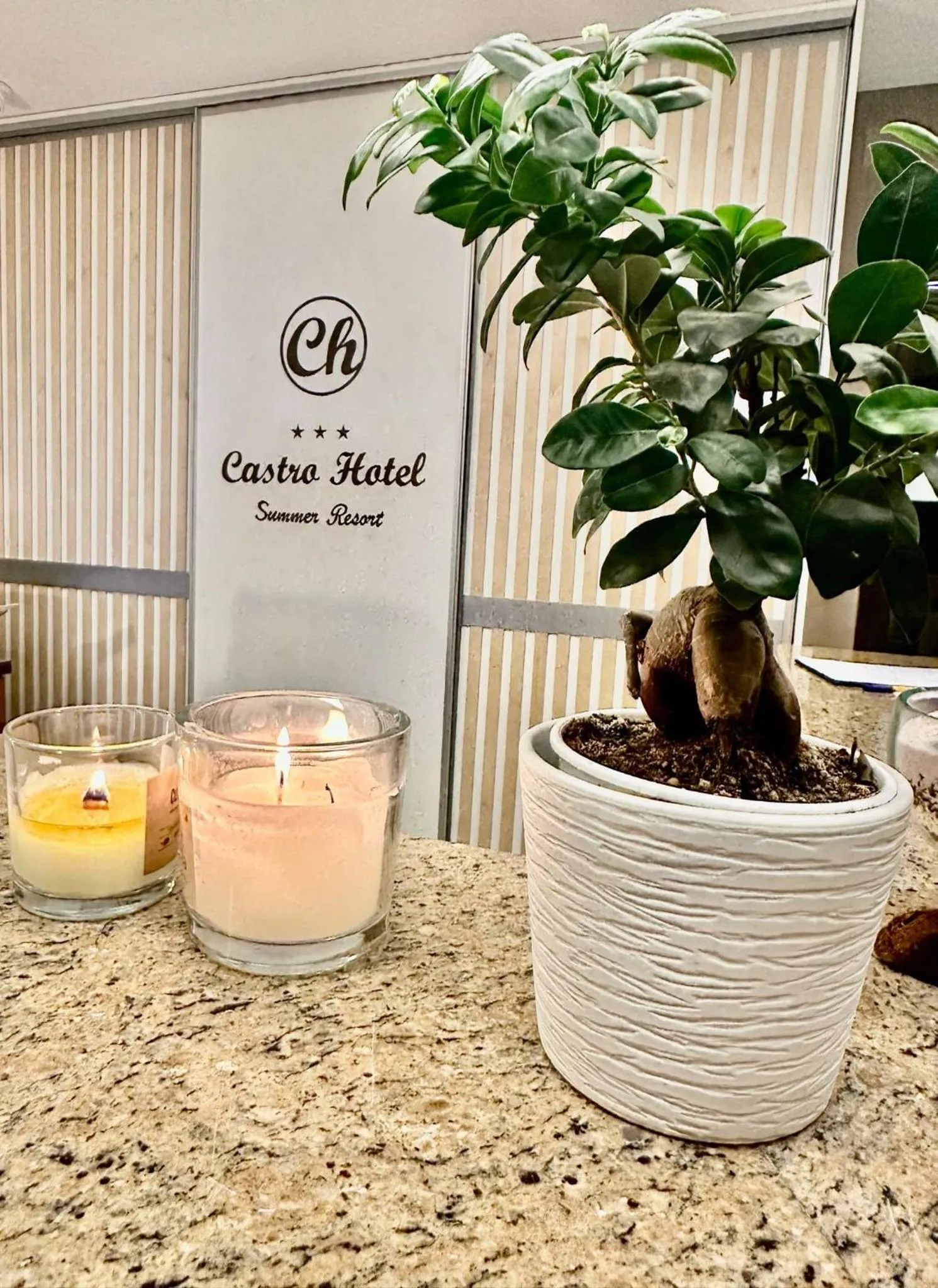 Living room in Castro Hotel