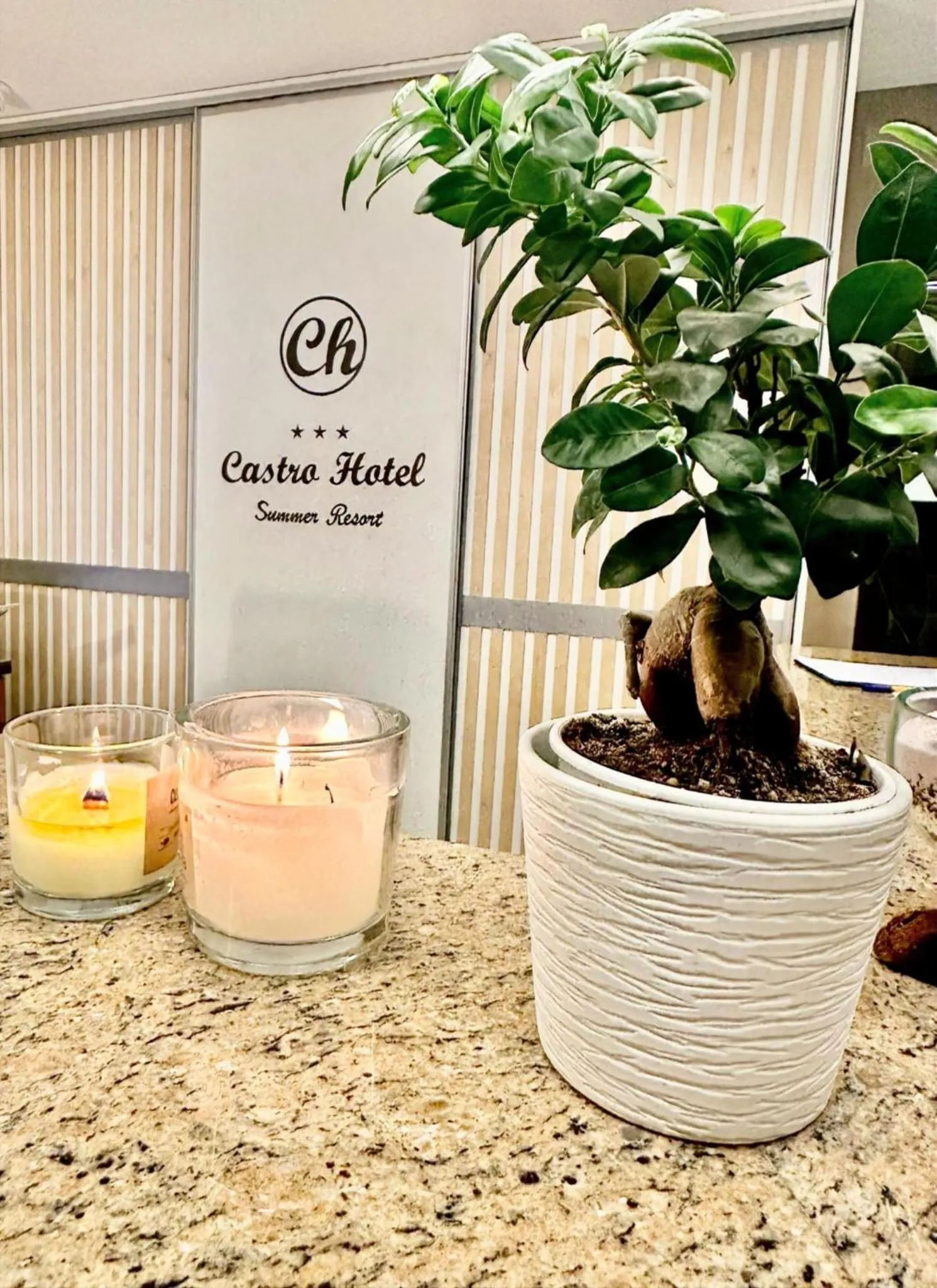 Lobby or reception in Castro Hotel