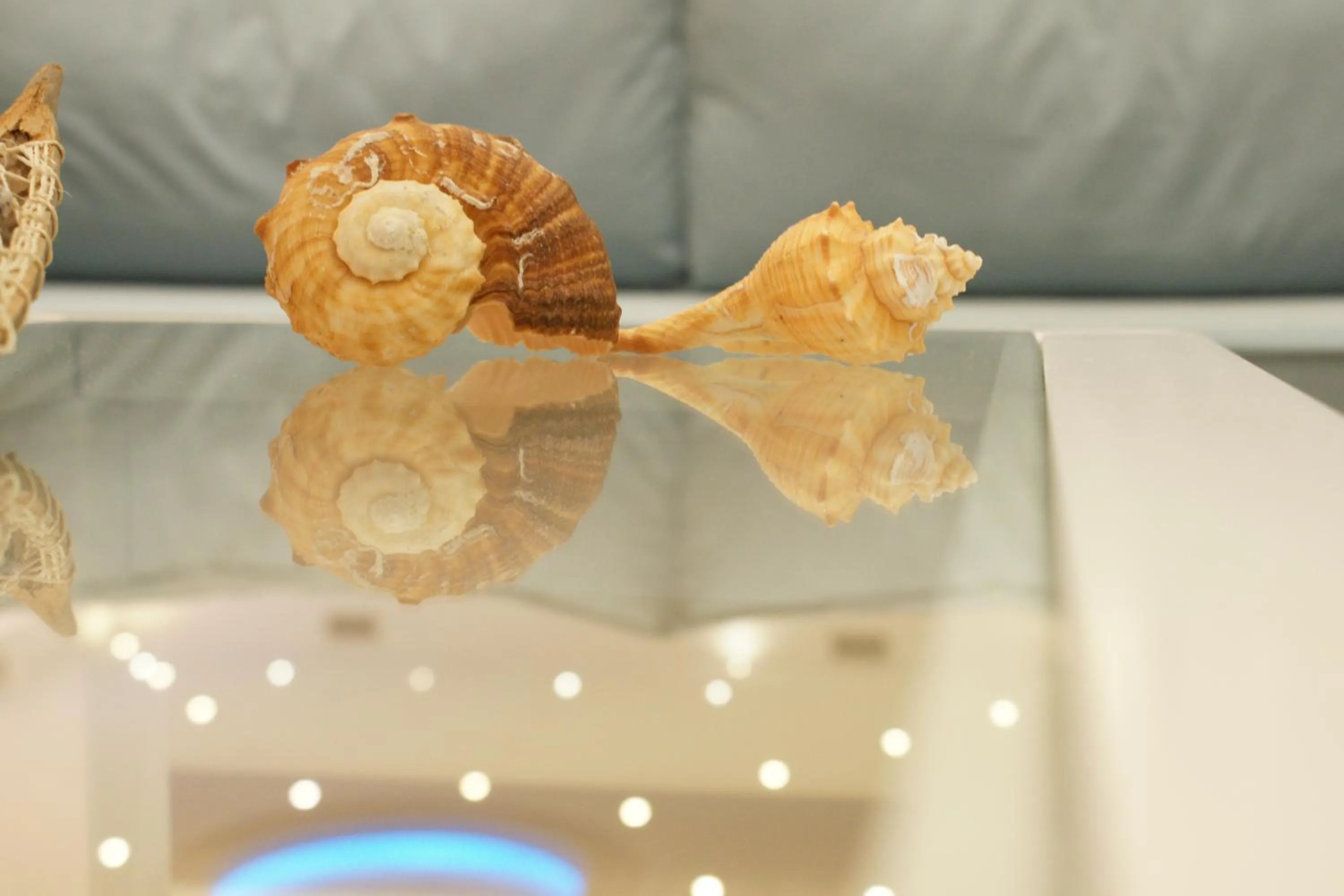 Other in Castro Hotel