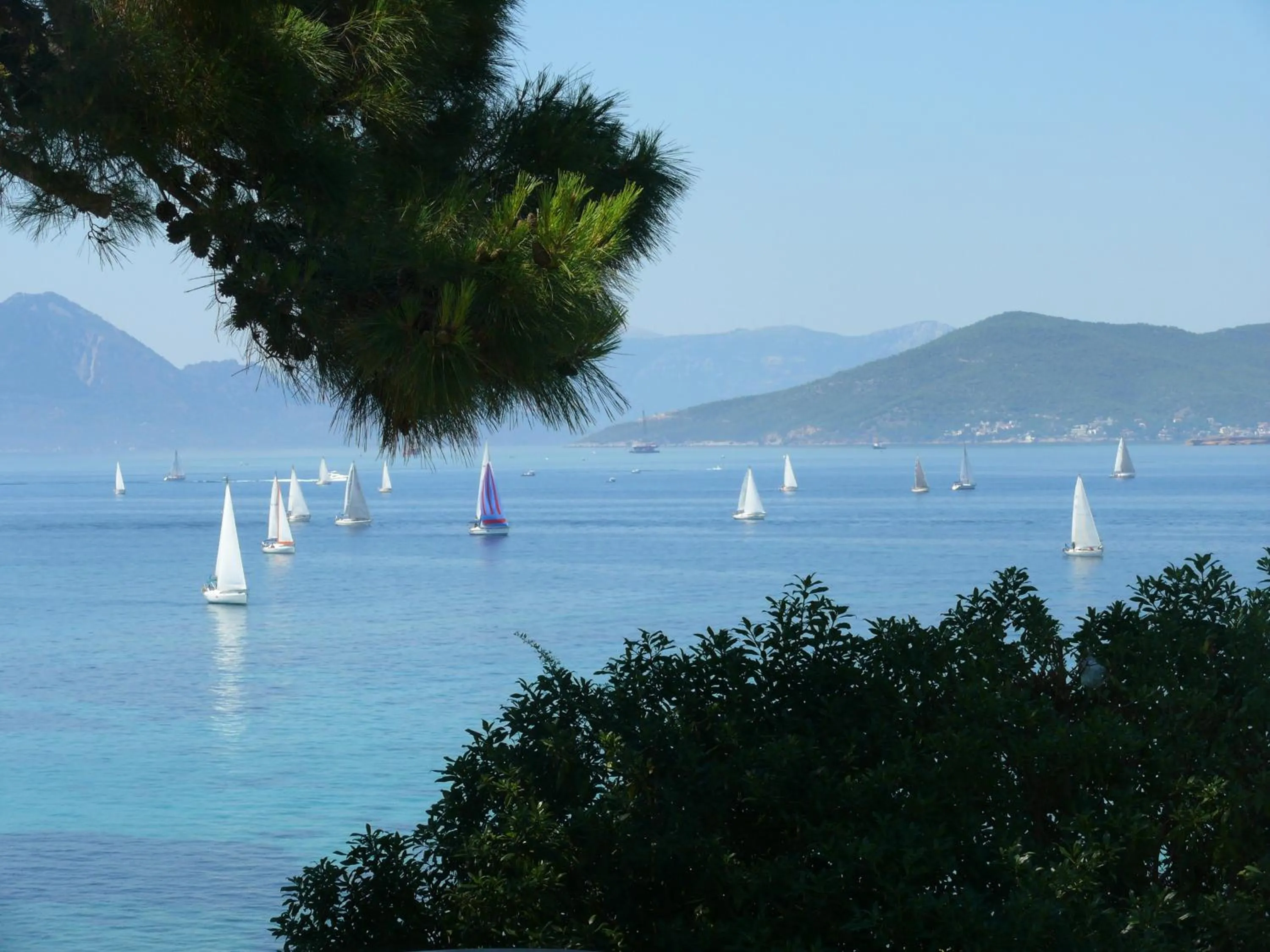 Area and facilities in Danae Hotel