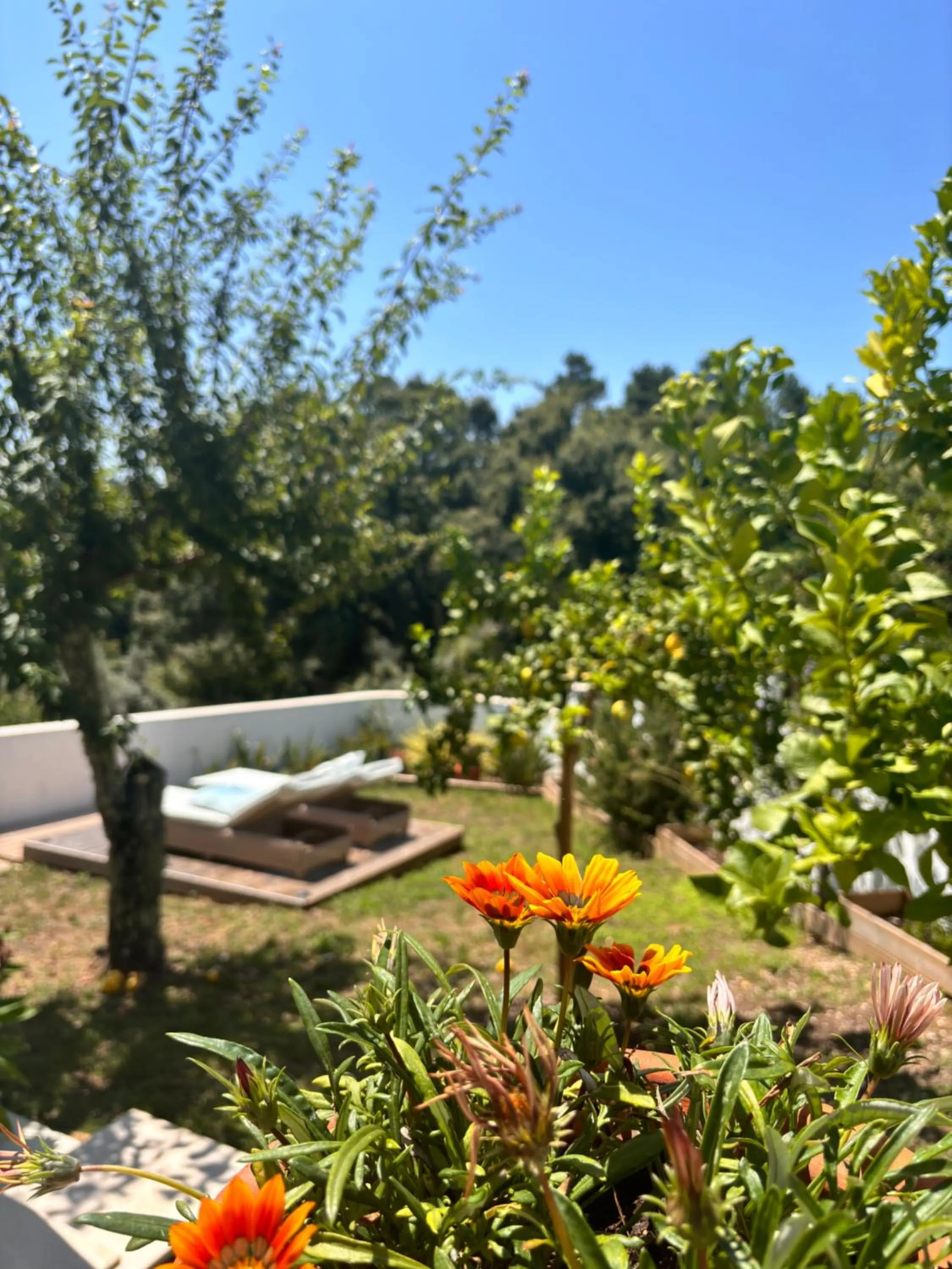 Natural landscape in Casa Da Oliveira