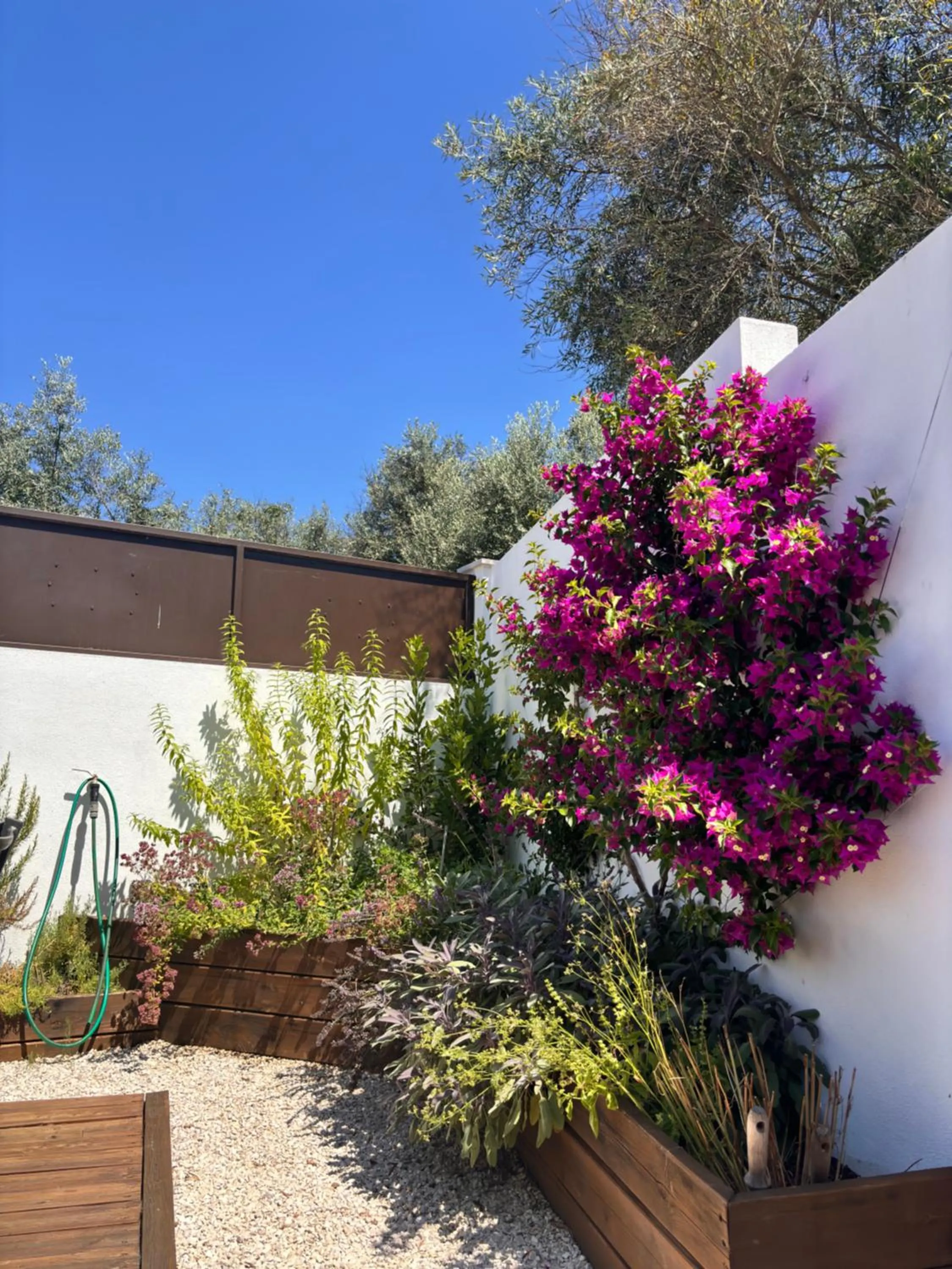 Day in Casa Da Oliveira