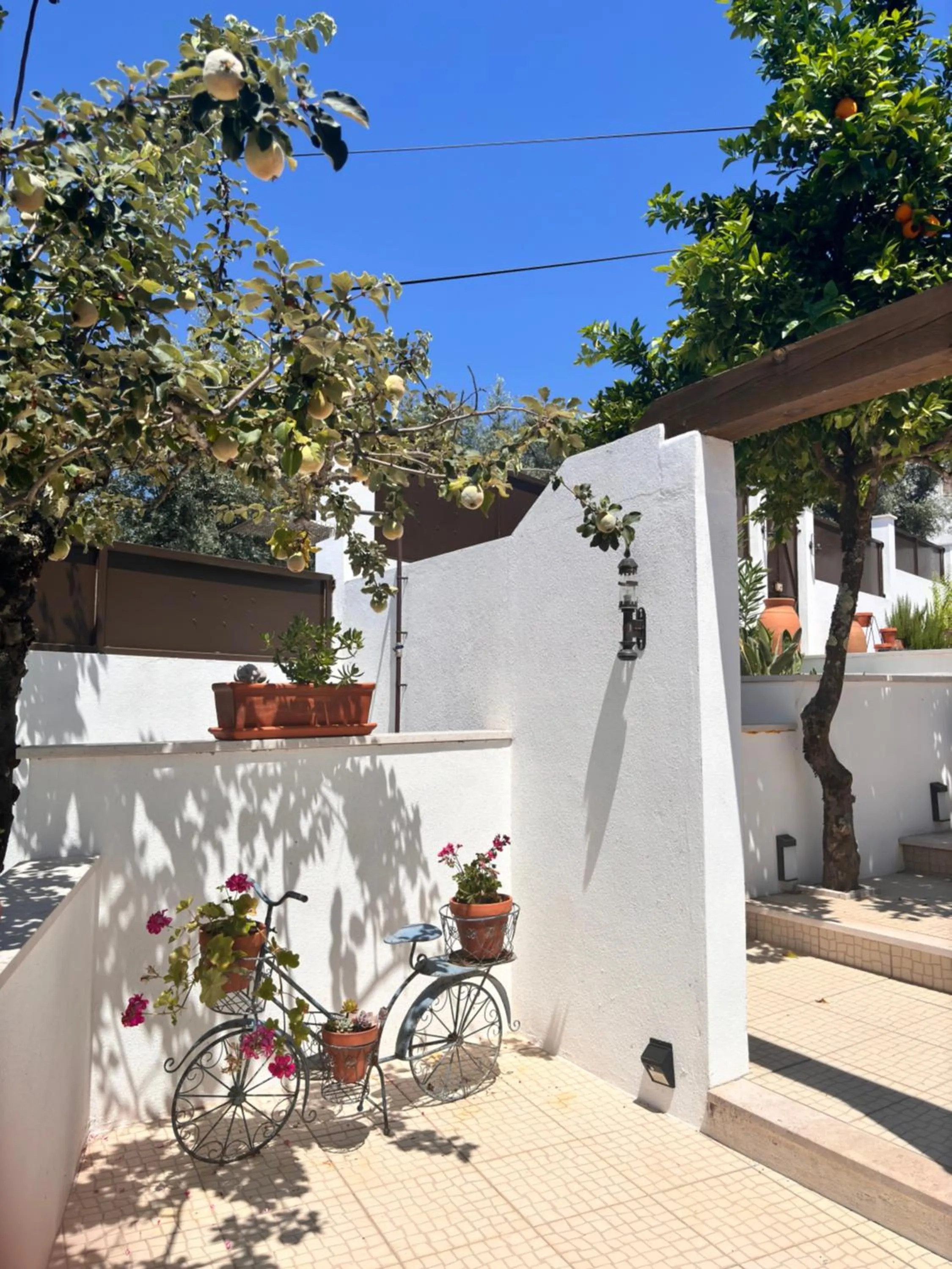 Patio in Casa Da Oliveira