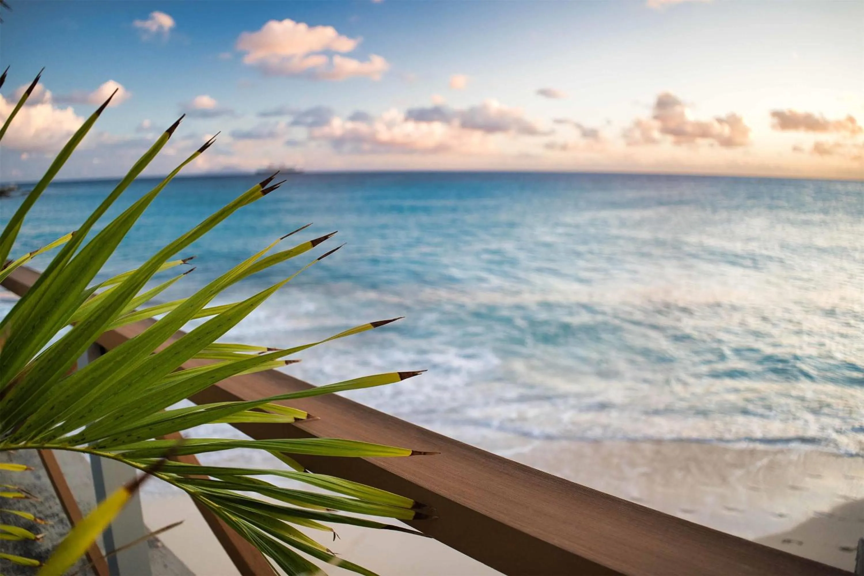 Restaurant/places to eat in Royal Islander Club Resort La Terrasse