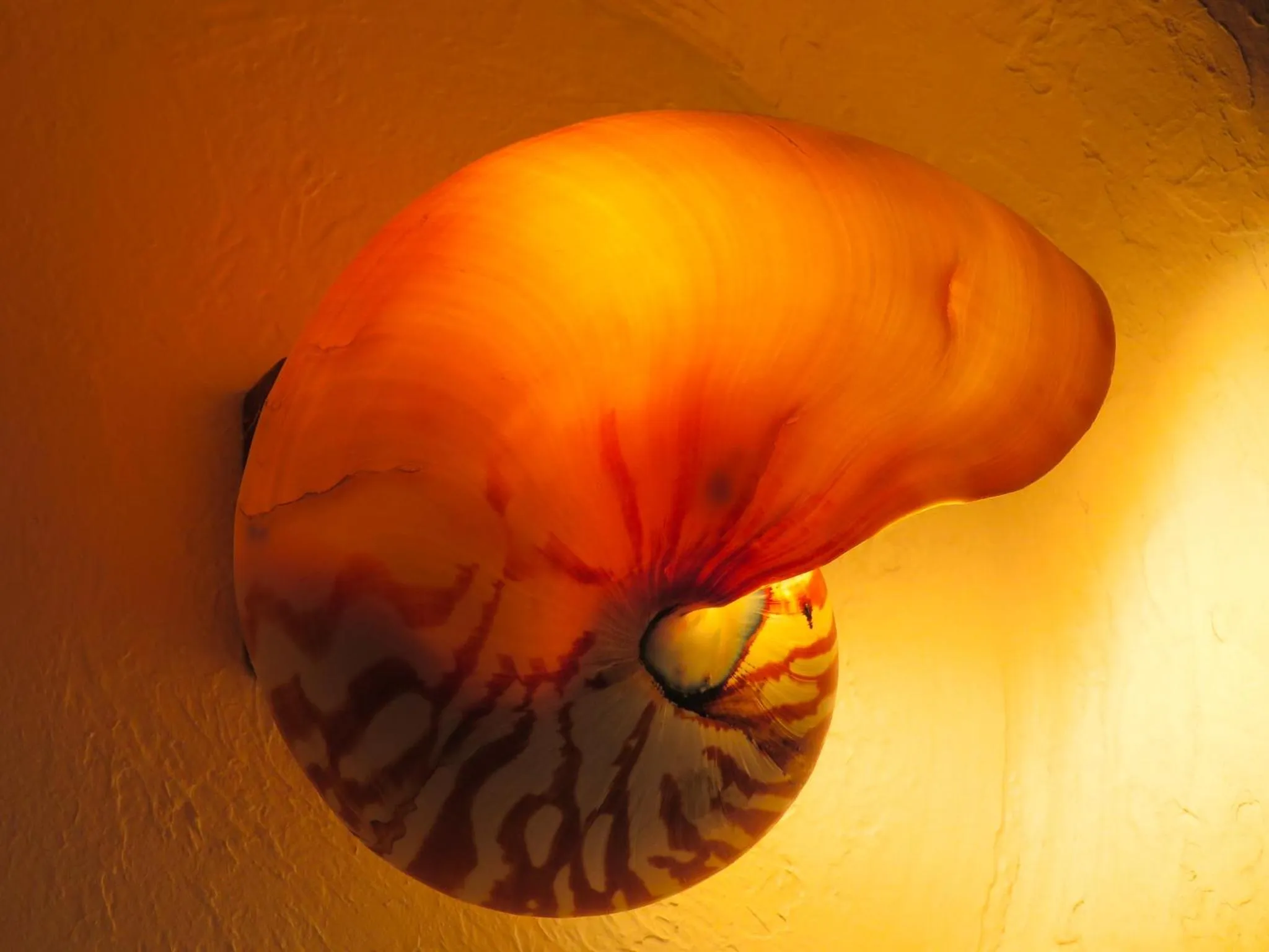 Aqua park in THE skM TOKYO HOTEL & DINING