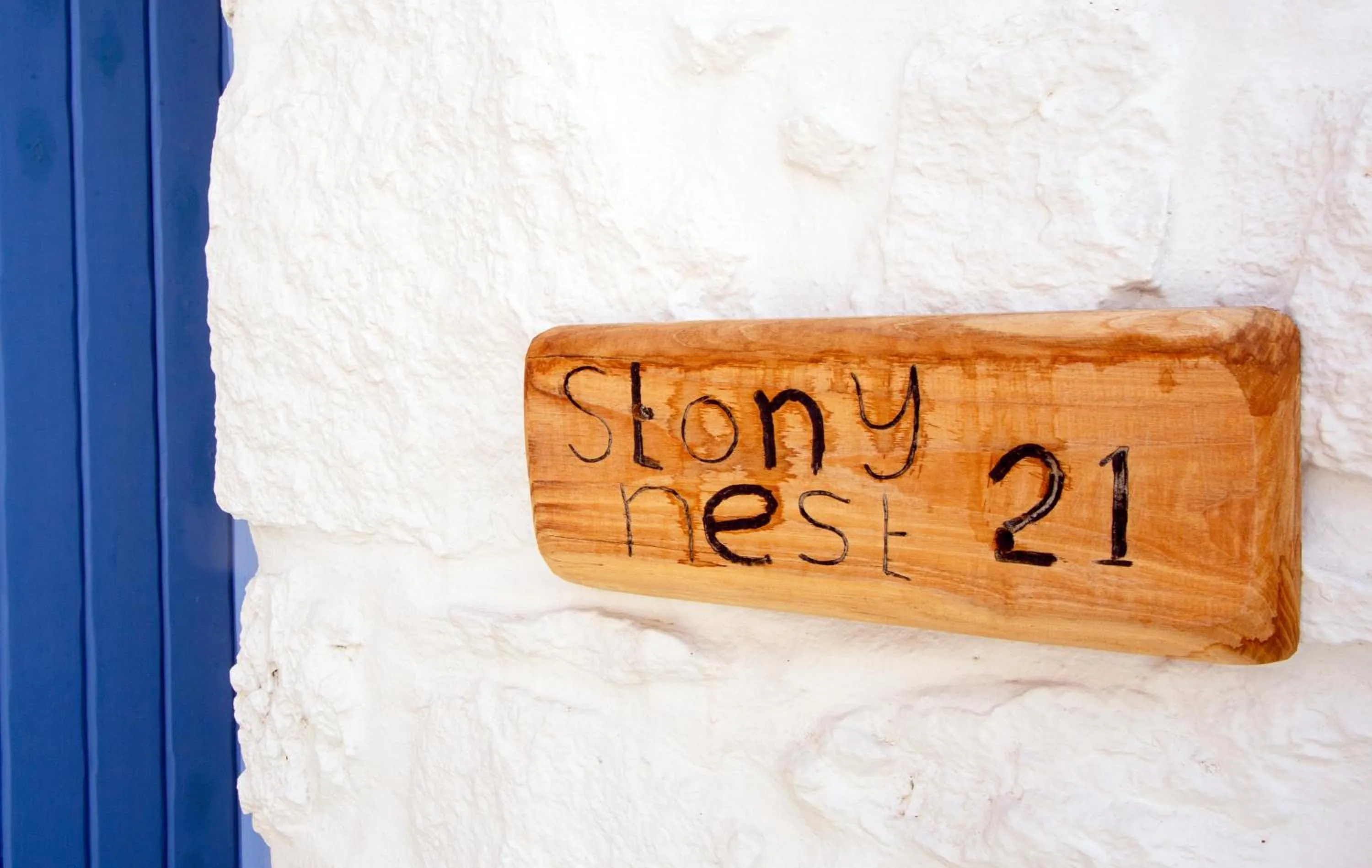 Photo of the whole room in Apsenti couples only