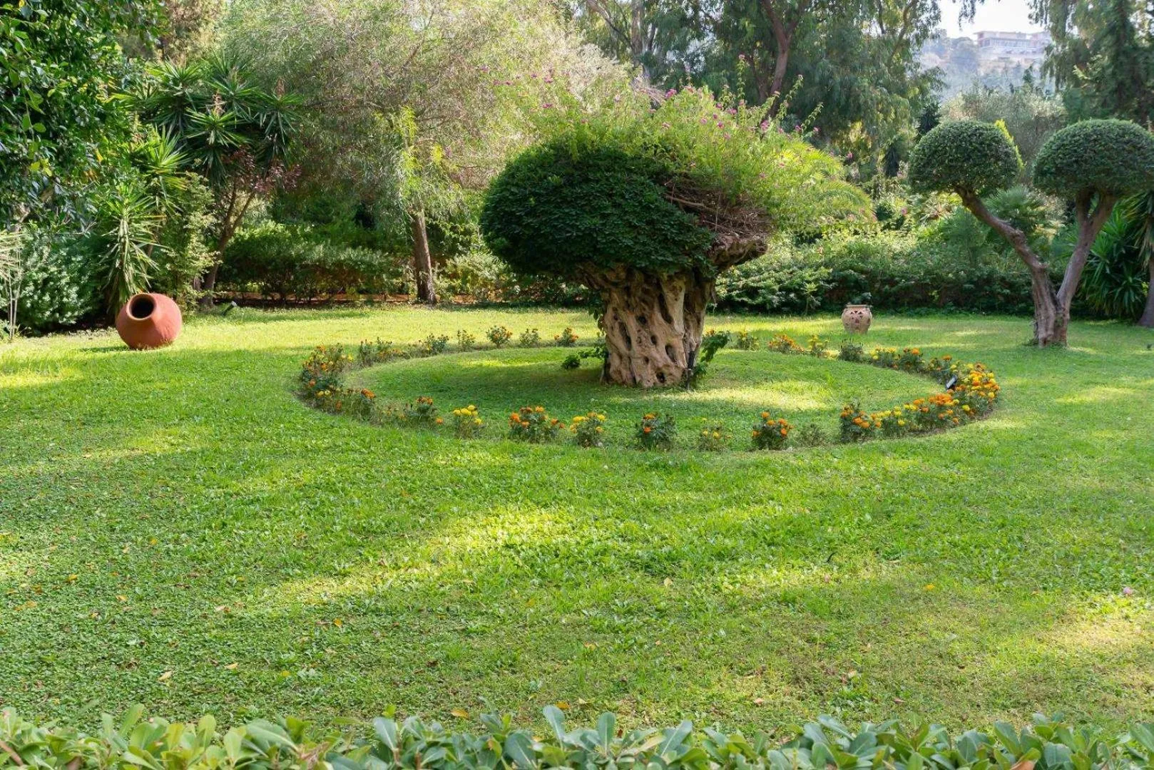 Garden in Dionysos Hotel