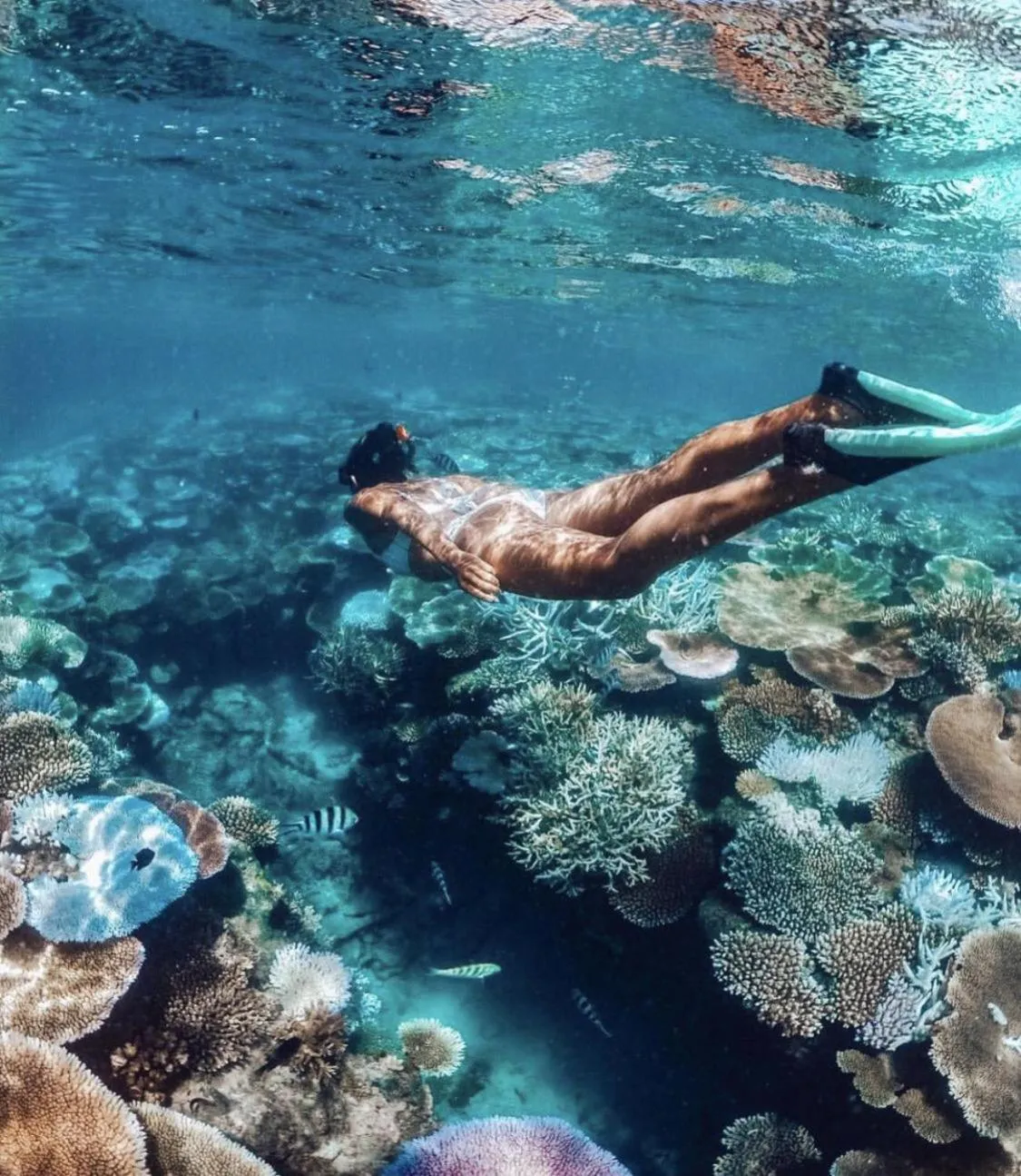 Snorkeling in Oceana Inn Maldives - Snorkeling, Sandbank & Surfing Adventures in Kudahuvadhoo Island