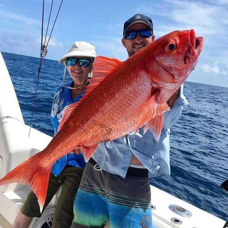 Fishing in Oceana Inn Maldives - Snorkeling, Sandbank & Surfing Adventures in Kudahuvadhoo Island
