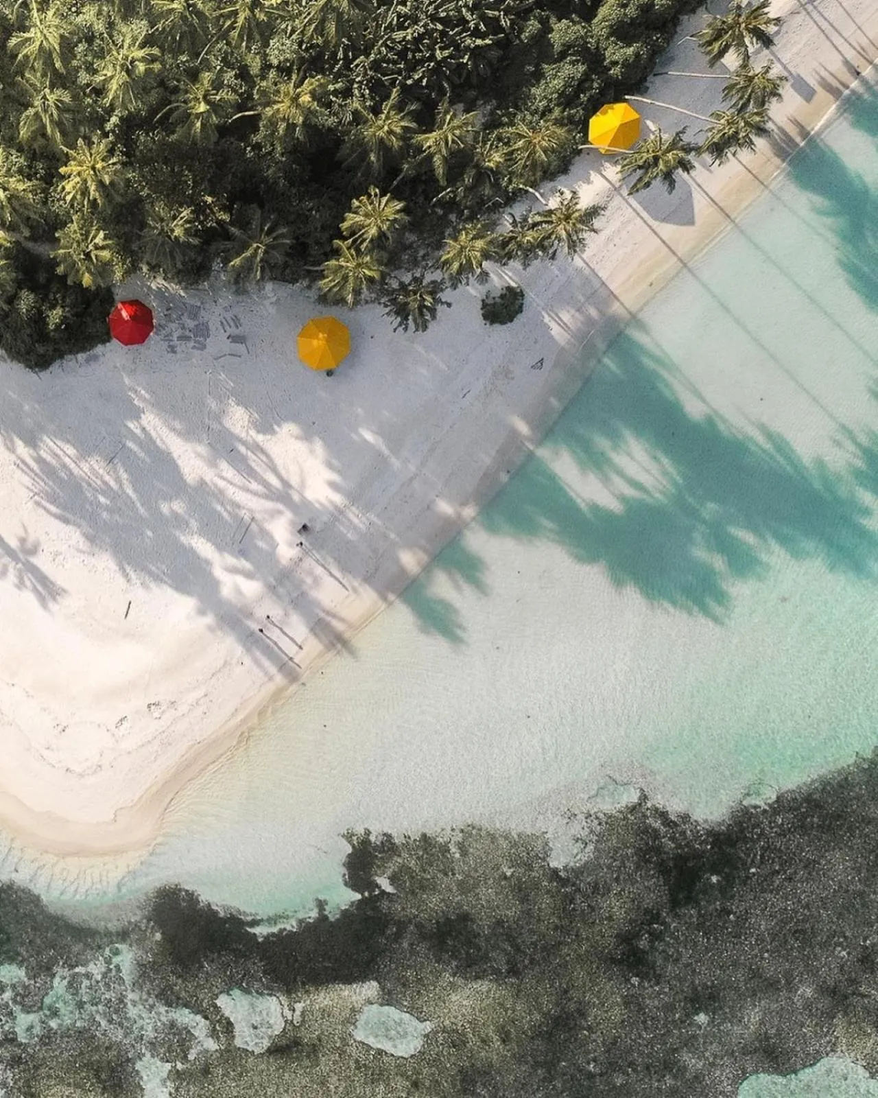 Beach in Oceana Inn Maldives - Snorkeling, Sandbank & Surfing Adventures in Kudahuvadhoo Island