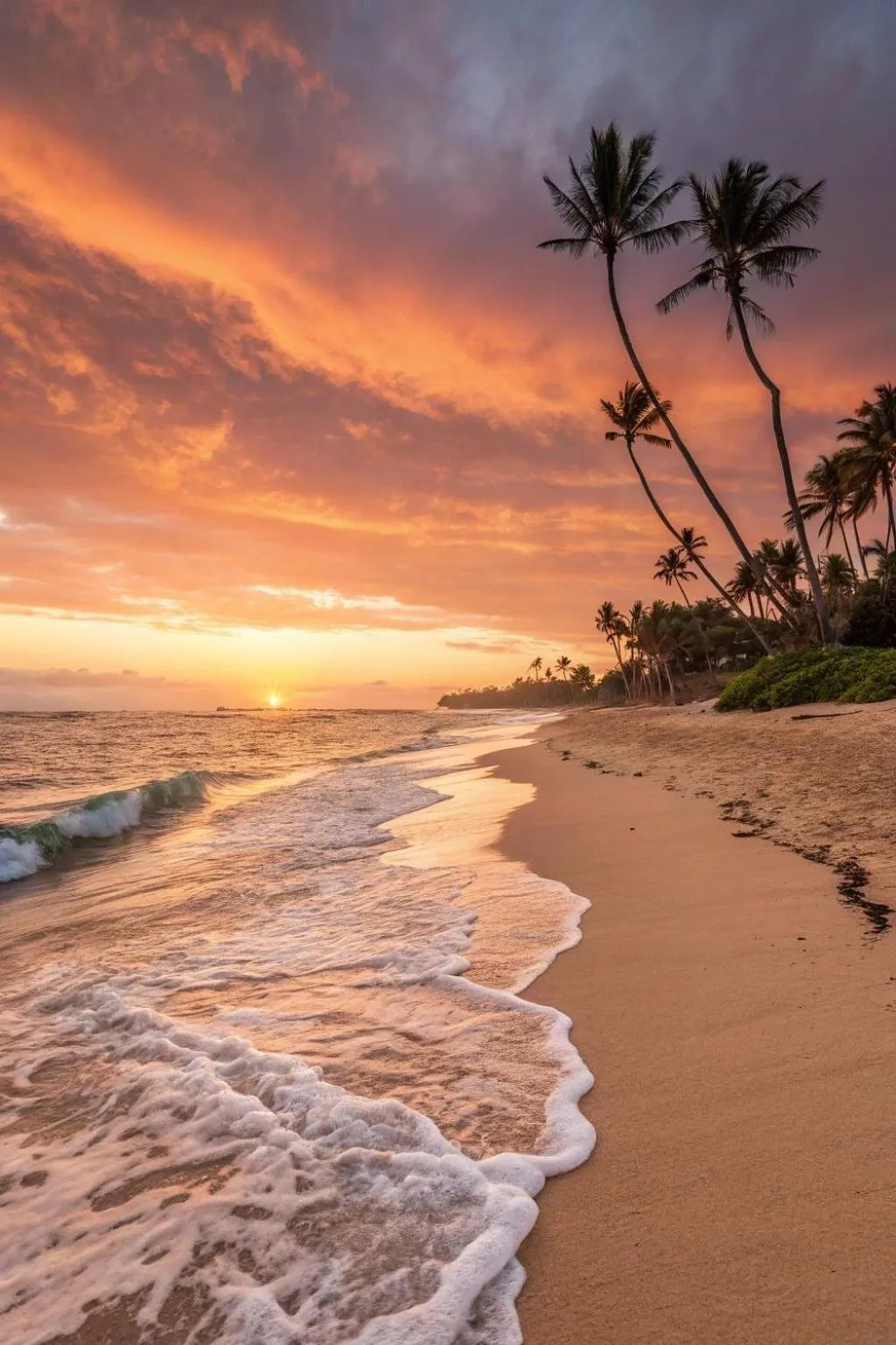 Sunset in Oceana Inn Maldives - Snorkeling, Sandbank & Surfing Adventures in Kudahuvadhoo Island