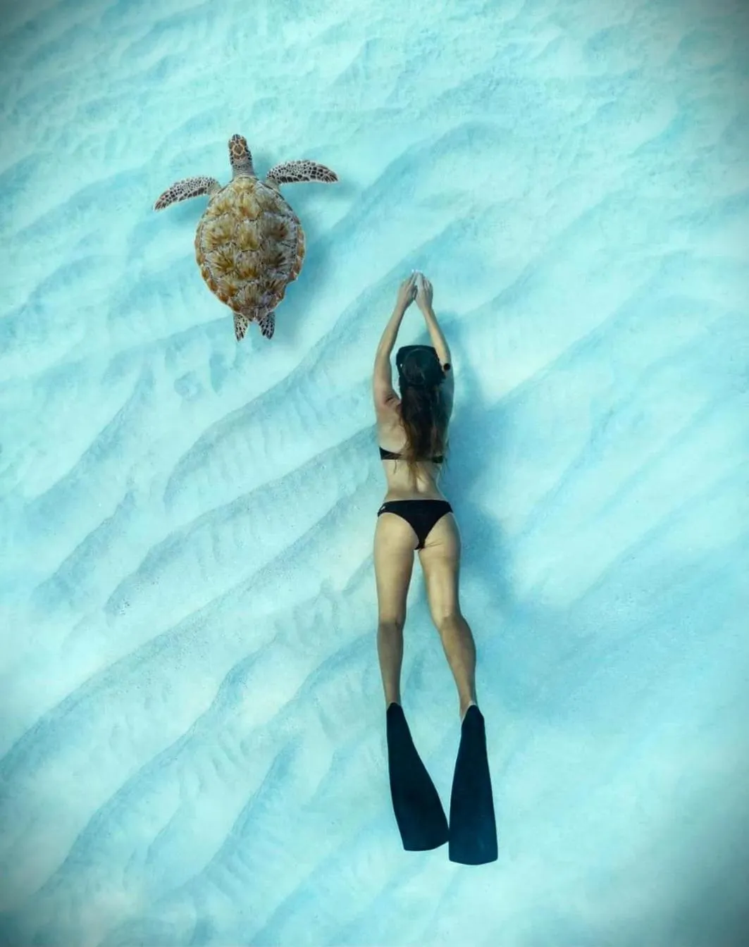 Snorkeling in Oceana Inn Maldives - Snorkeling, Sandbank & Surfing Adventures in Kudahuvadhoo Island