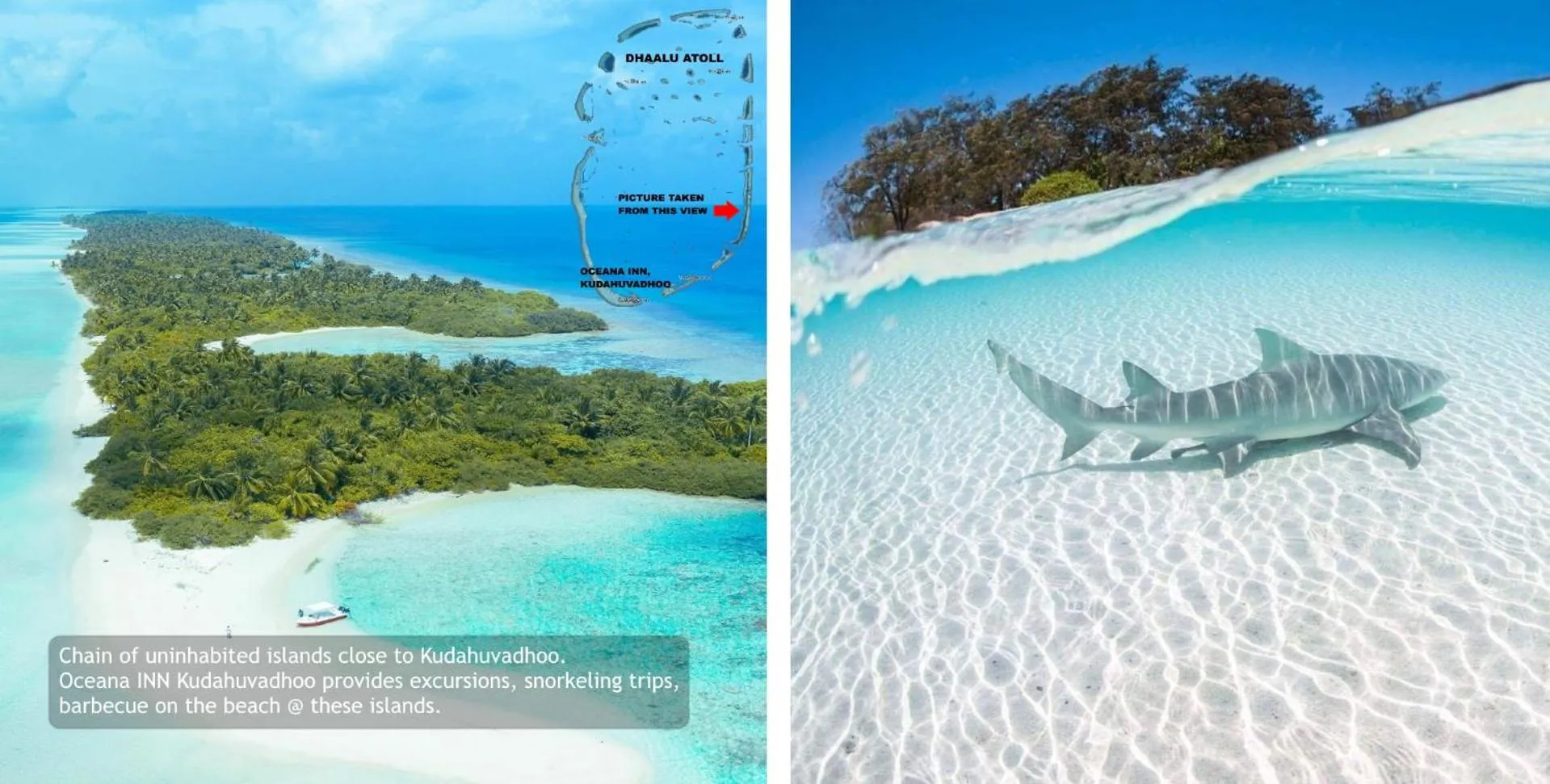 Beach in Oceana Inn Maldives - Snorkeling, Sandbank & Surfing Adventures in Kudahuvadhoo Island