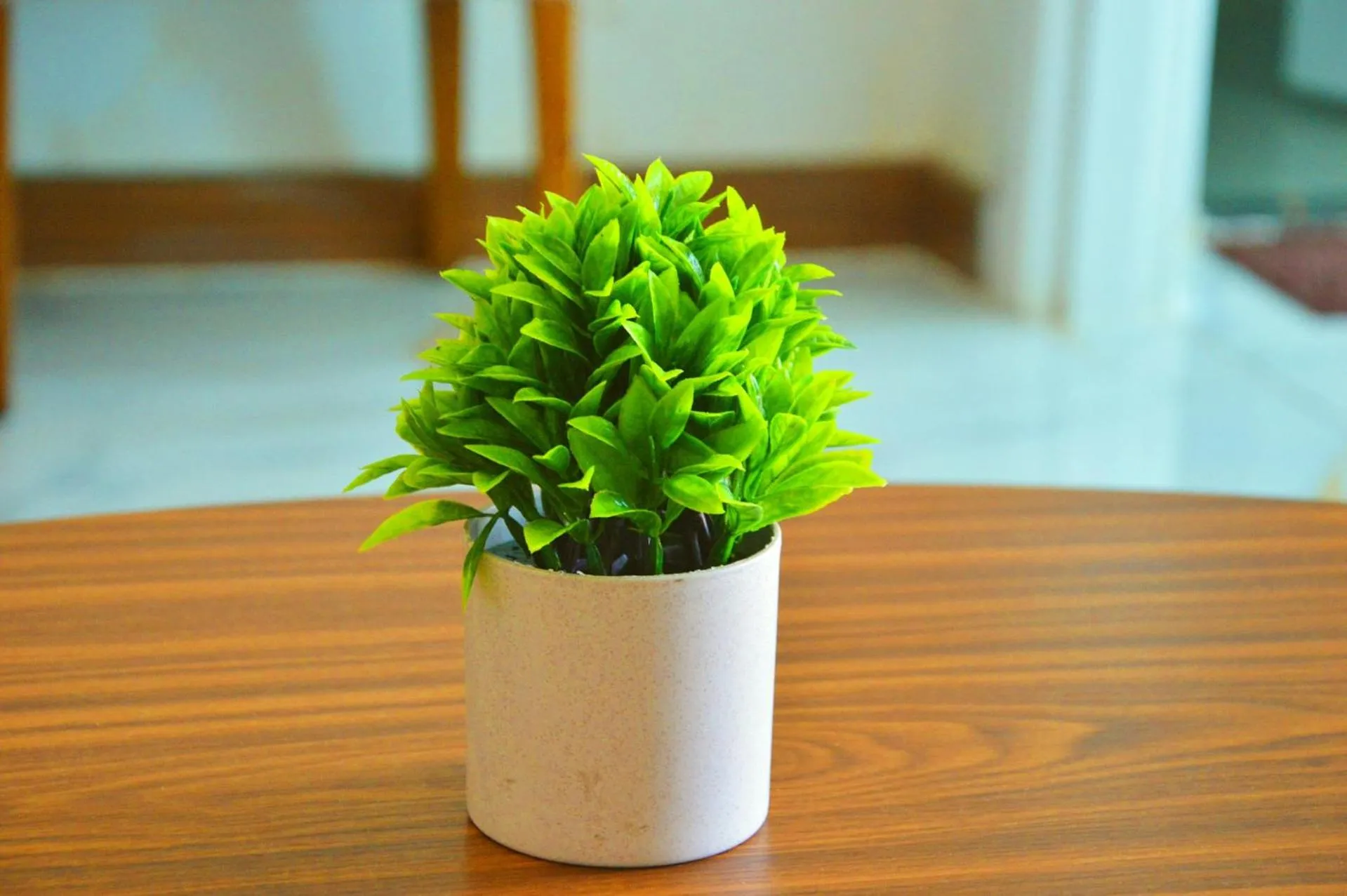 Living room in Ocean Dream Apartment Nha Trang