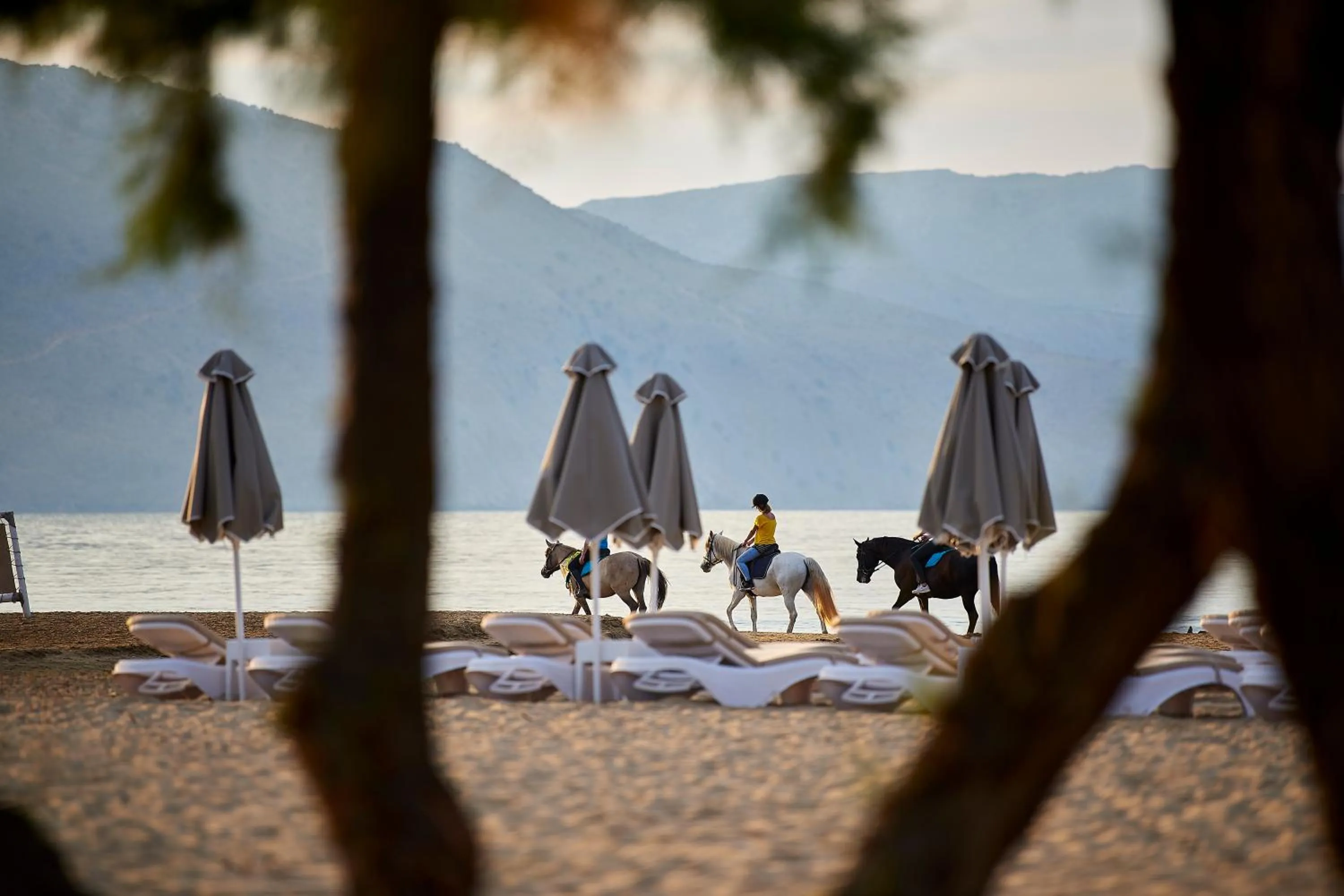 Horse-riding in Mythos Palace Resort & Spa