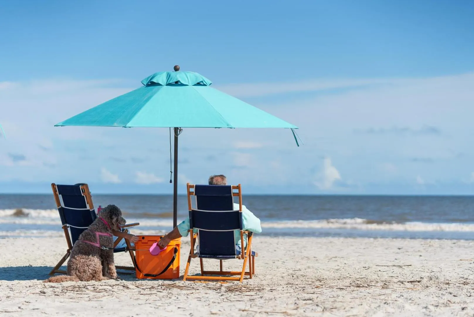 Beach in 844 Marsh Dunes