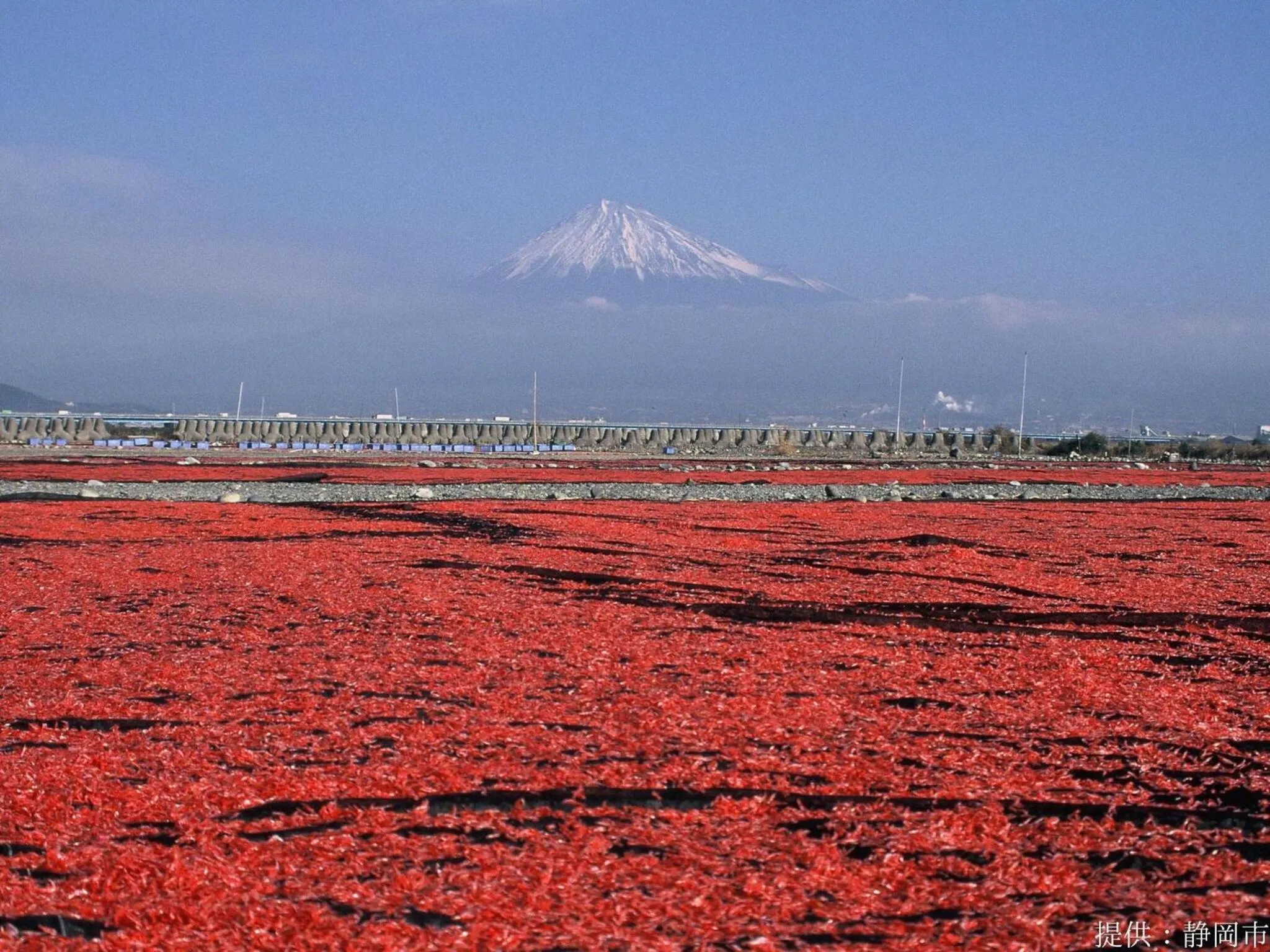Nearby landmark in KOKO HOTEL Shizuoka - formerly Hotel Wing International Shizuoka