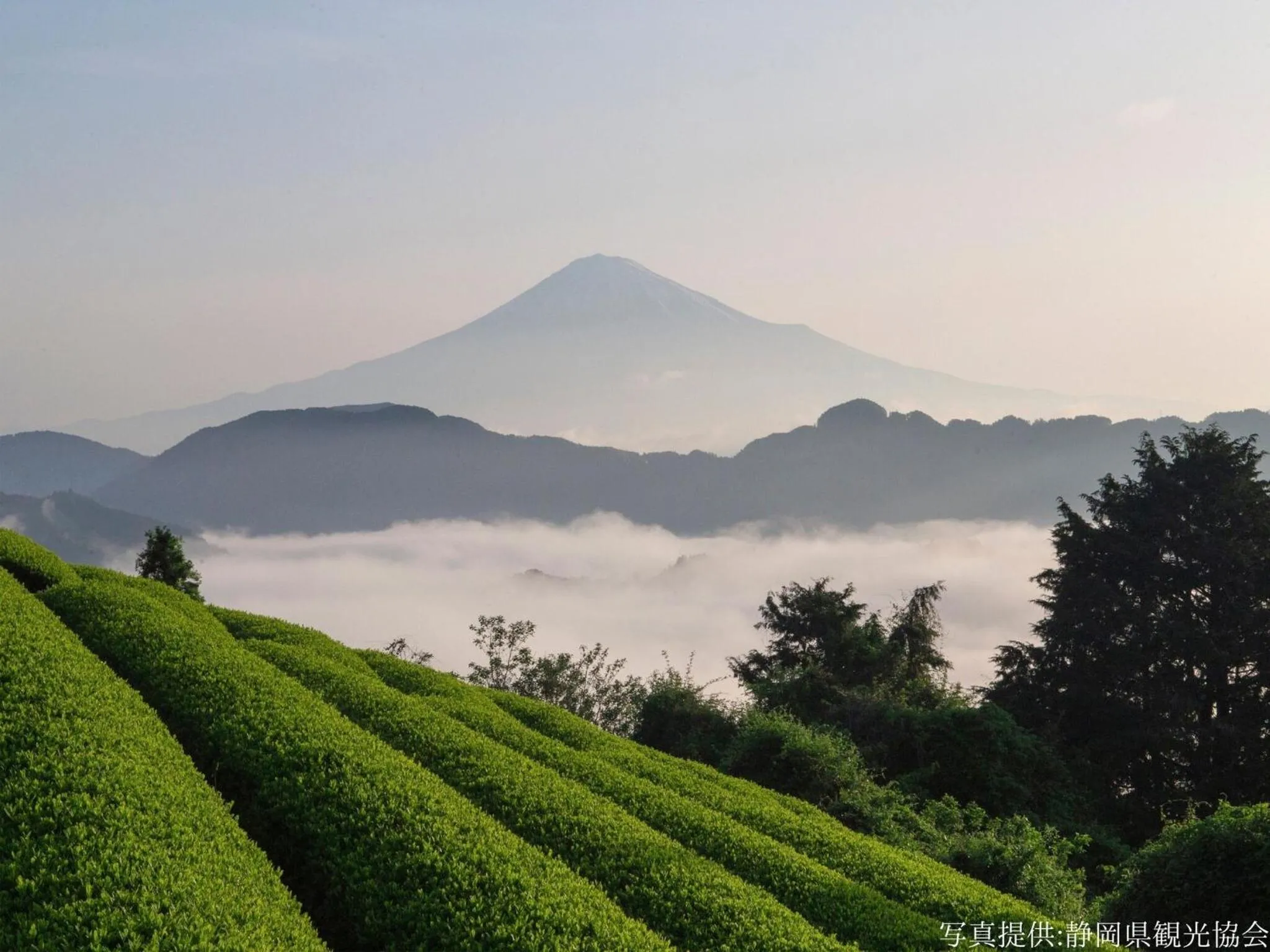 Nearby landmark in KOKO HOTEL Shizuoka - formerly Hotel Wing International Shizuoka