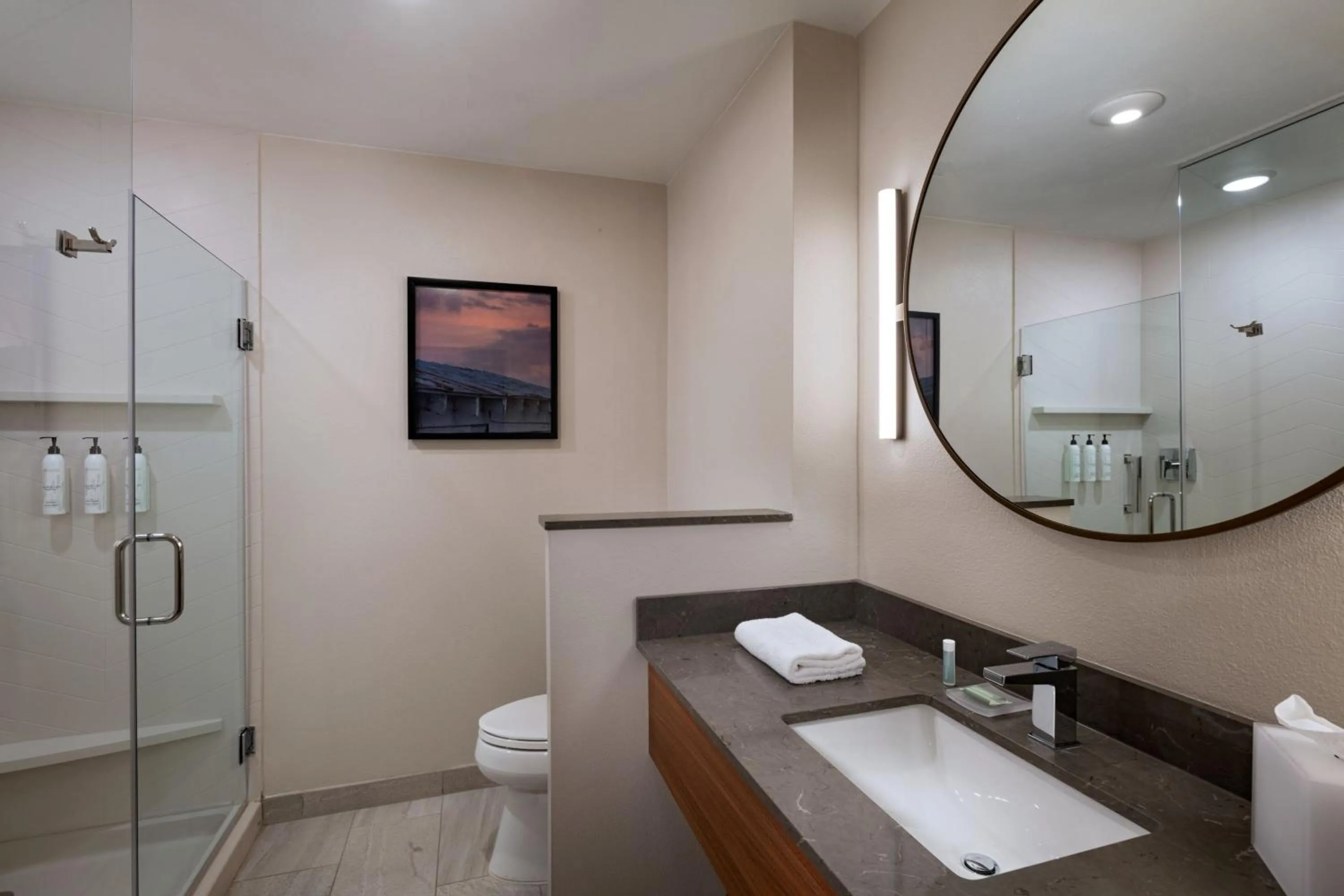 Bathroom in Fairfield by Marriott Inn & Suites Austin Georgetown