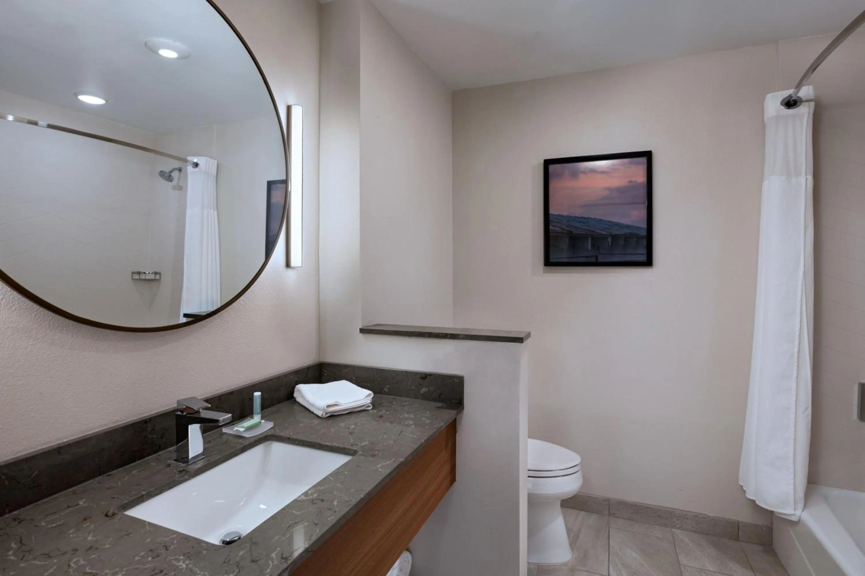 Bathroom in Fairfield by Marriott Inn & Suites Austin Georgetown