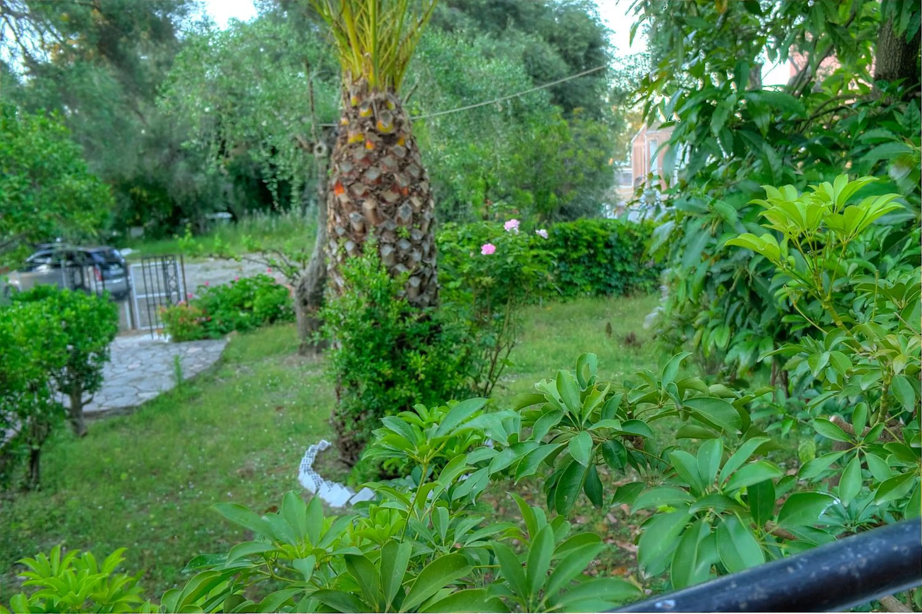 Natural landscape in Hotel Benitses Arches