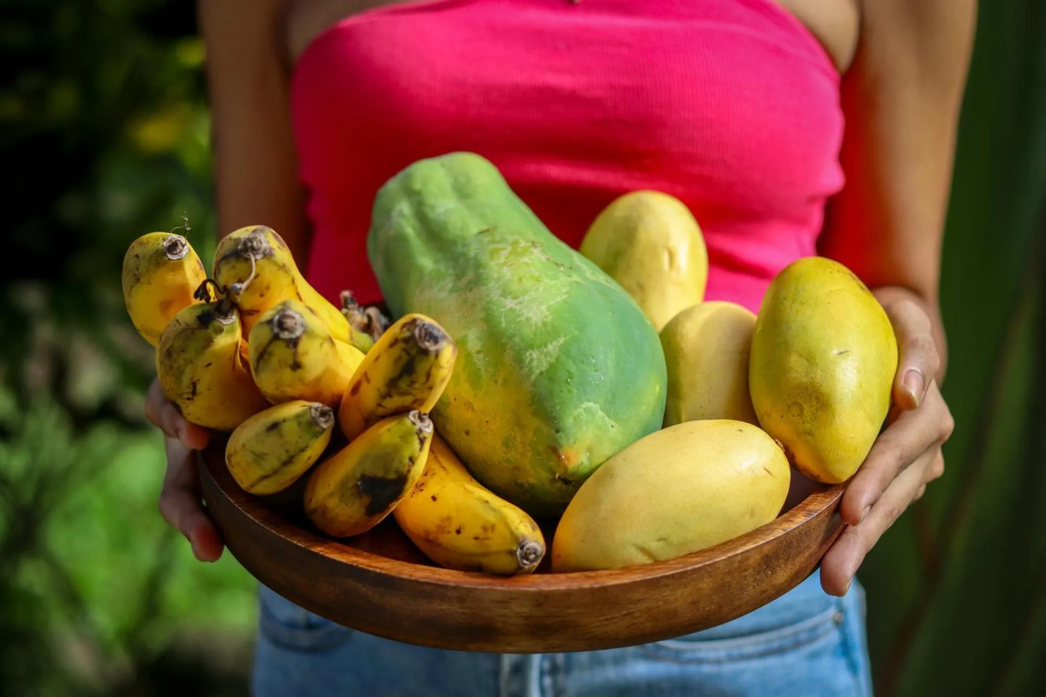 Garden in Happy Coconut Camiguin
