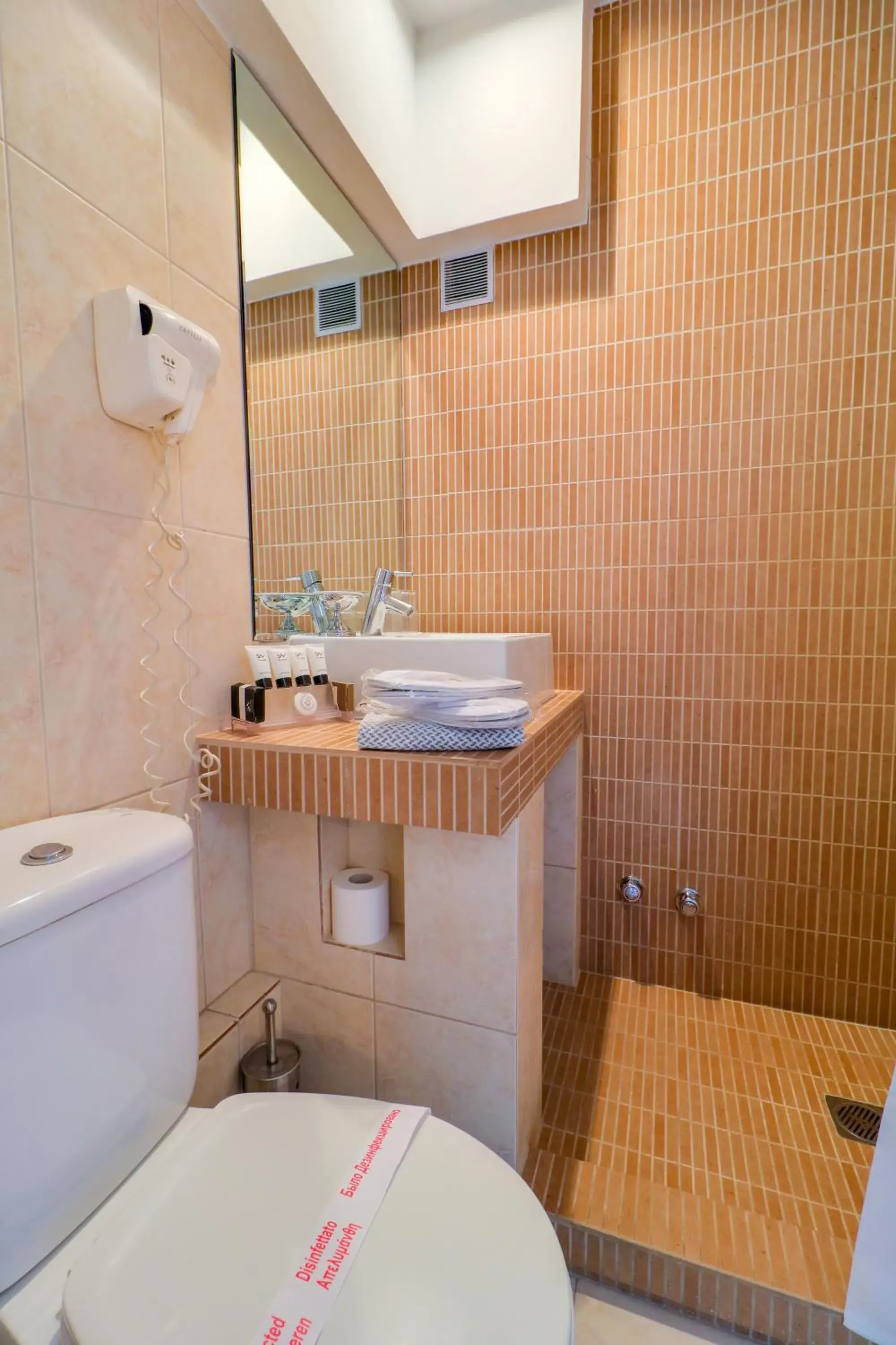 Economy Single Room in Palace Hotel Glyfada Economy Single Room in Palace Hotel Glyfada