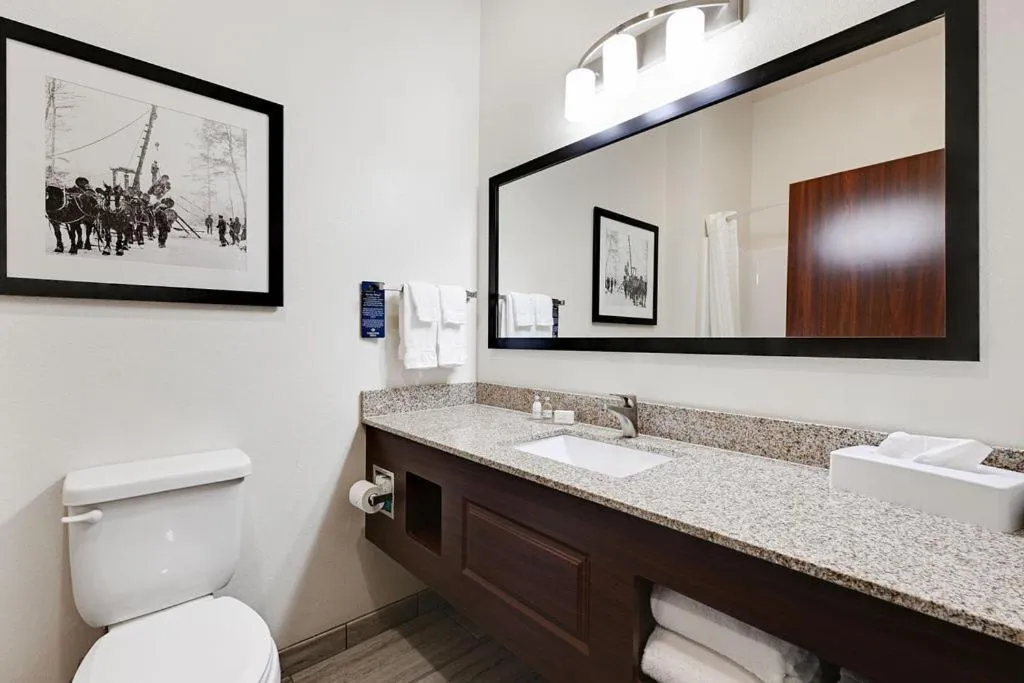 Bathroom in Cobblestone Hotel & Suites - Mosinee