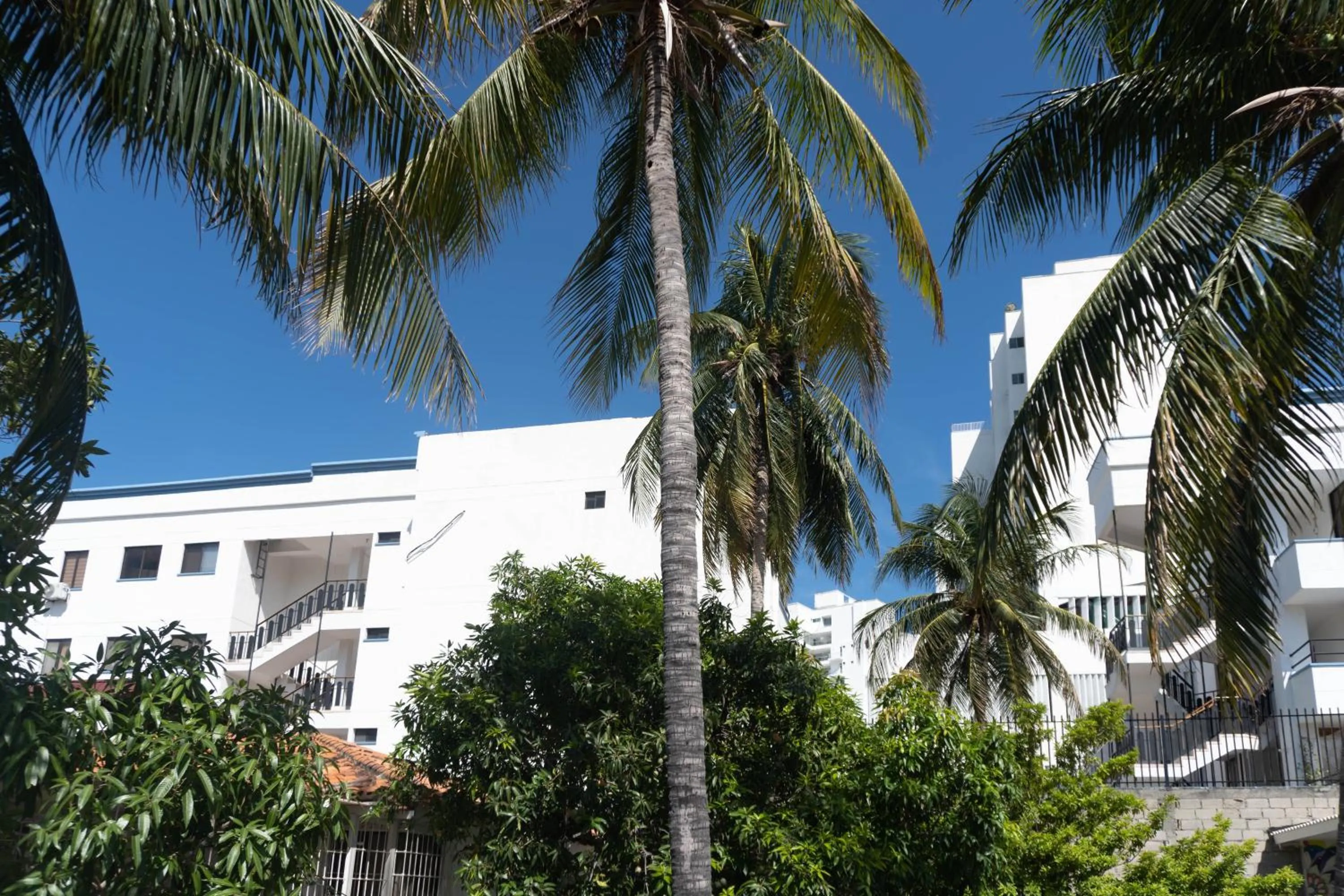 Garden view in Hotel Tamaca House