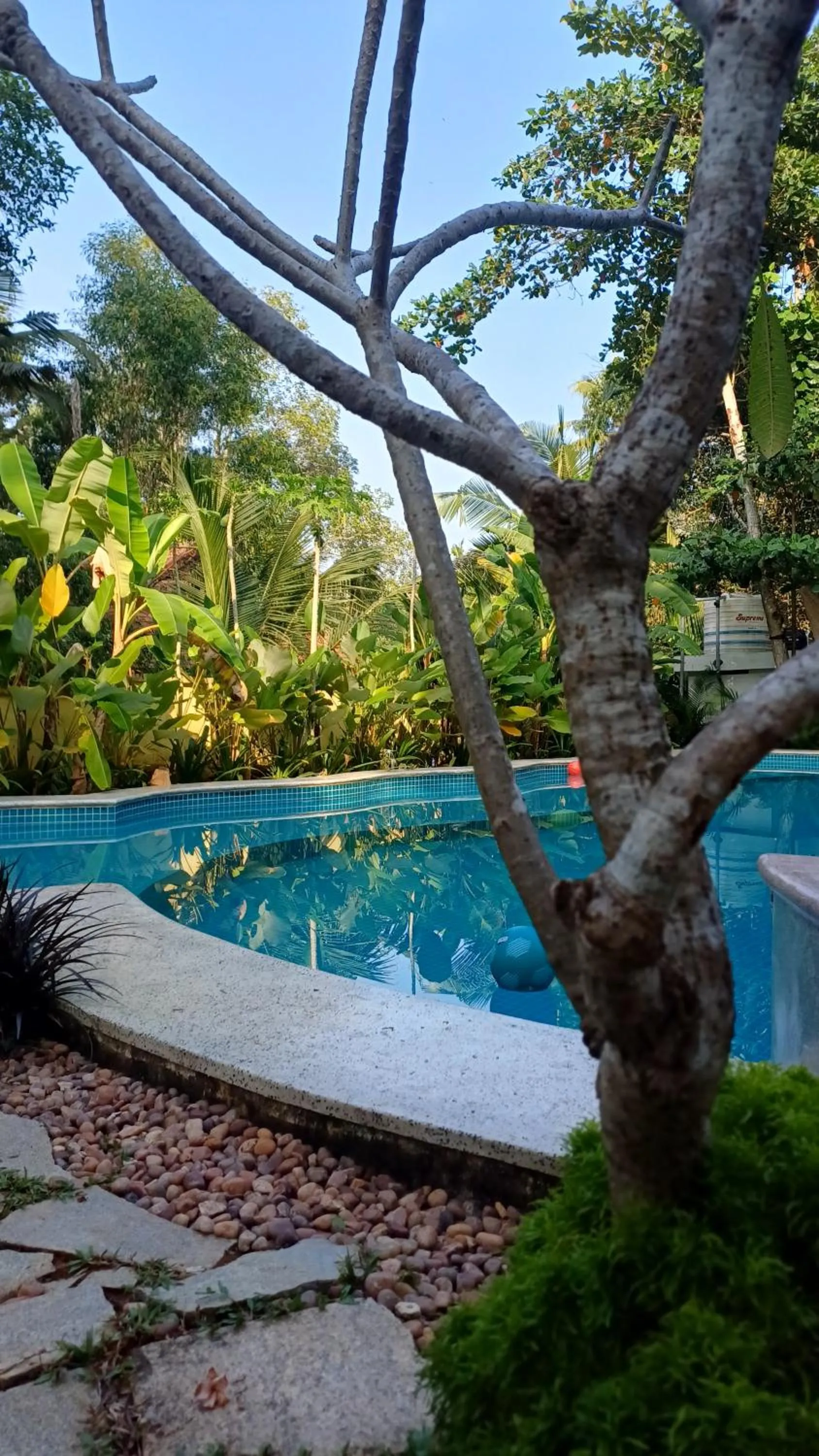 Pool view in Marari Beach Bungalow Resort Alleppey