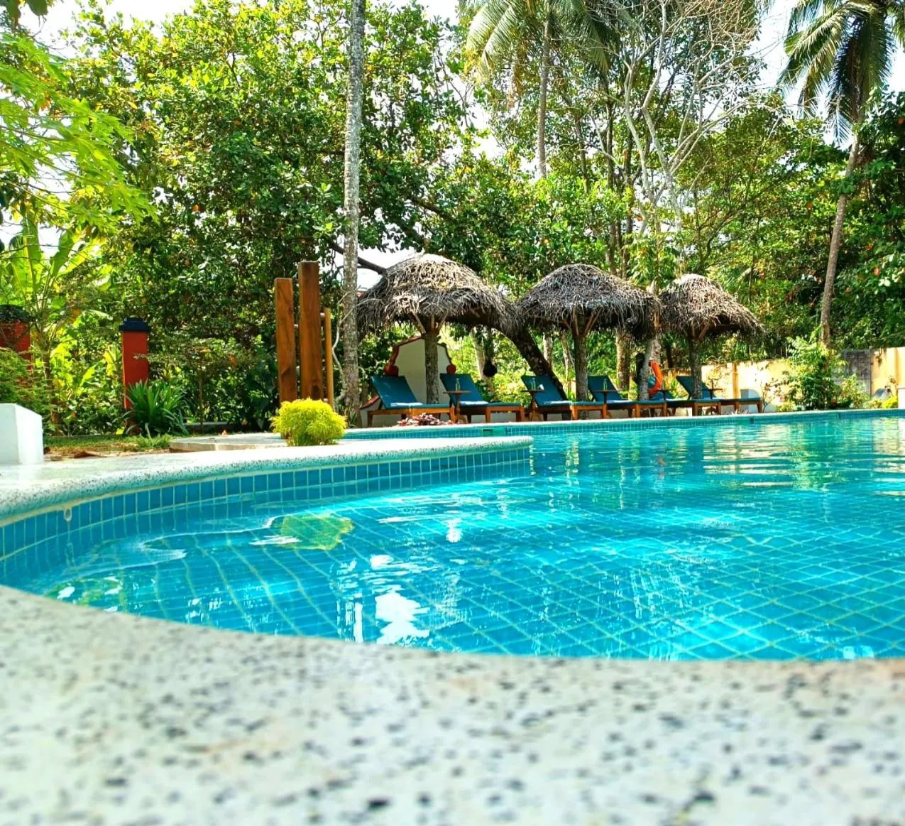 Marari Beach Bungalow Resort Alleppey