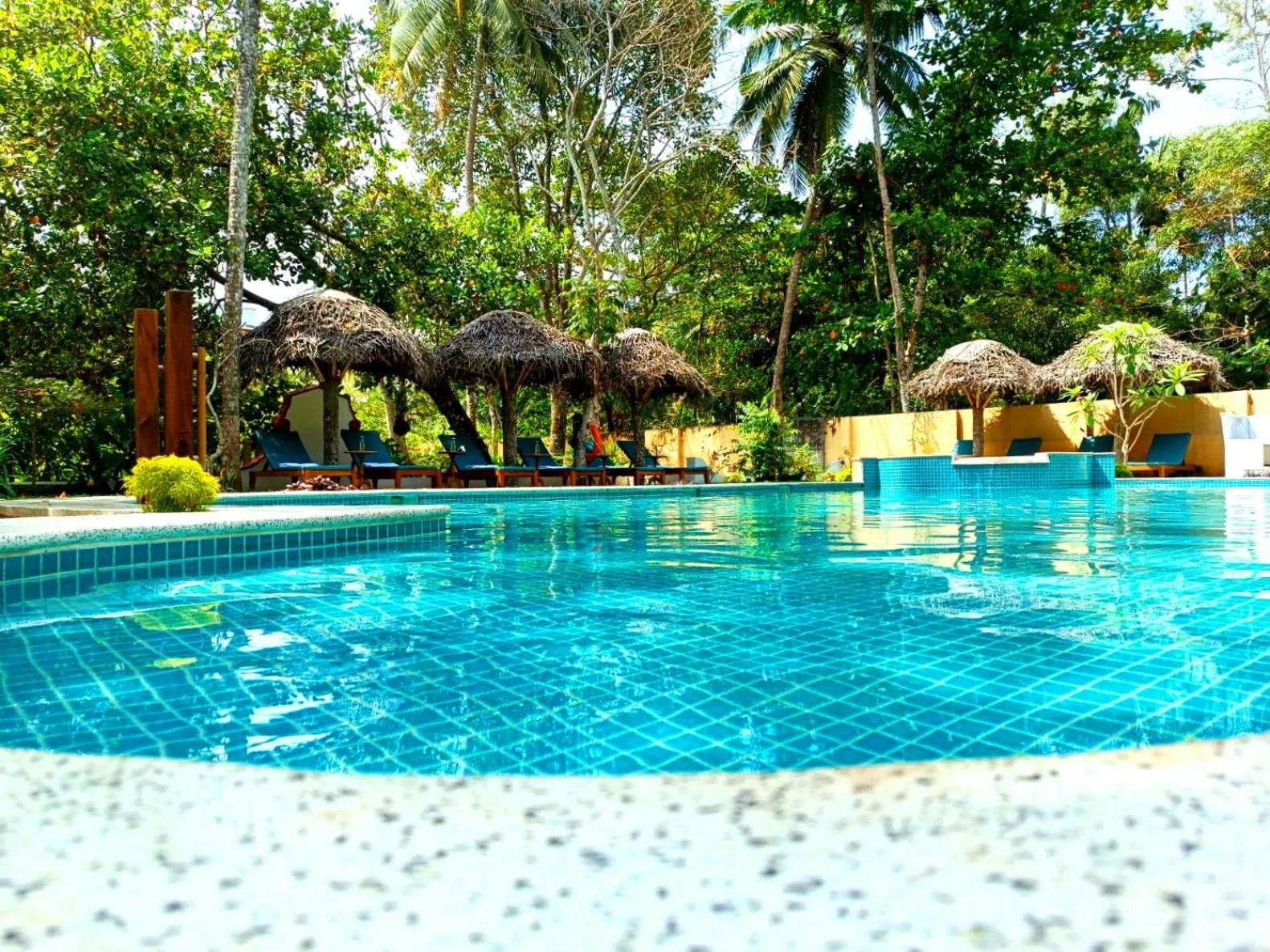 Garden in Marari Beach Bungalow Resort Alleppey