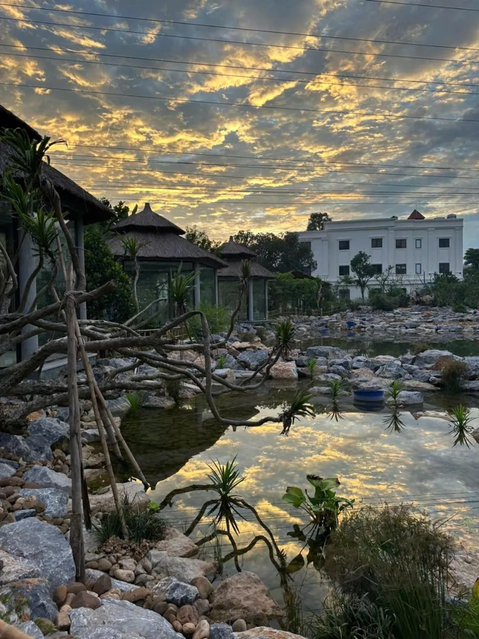 TRA LINH HOTEL & RESTAURANTs