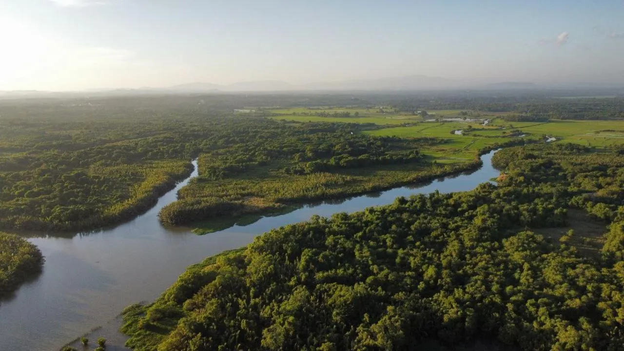 Area and facilities in Mothership