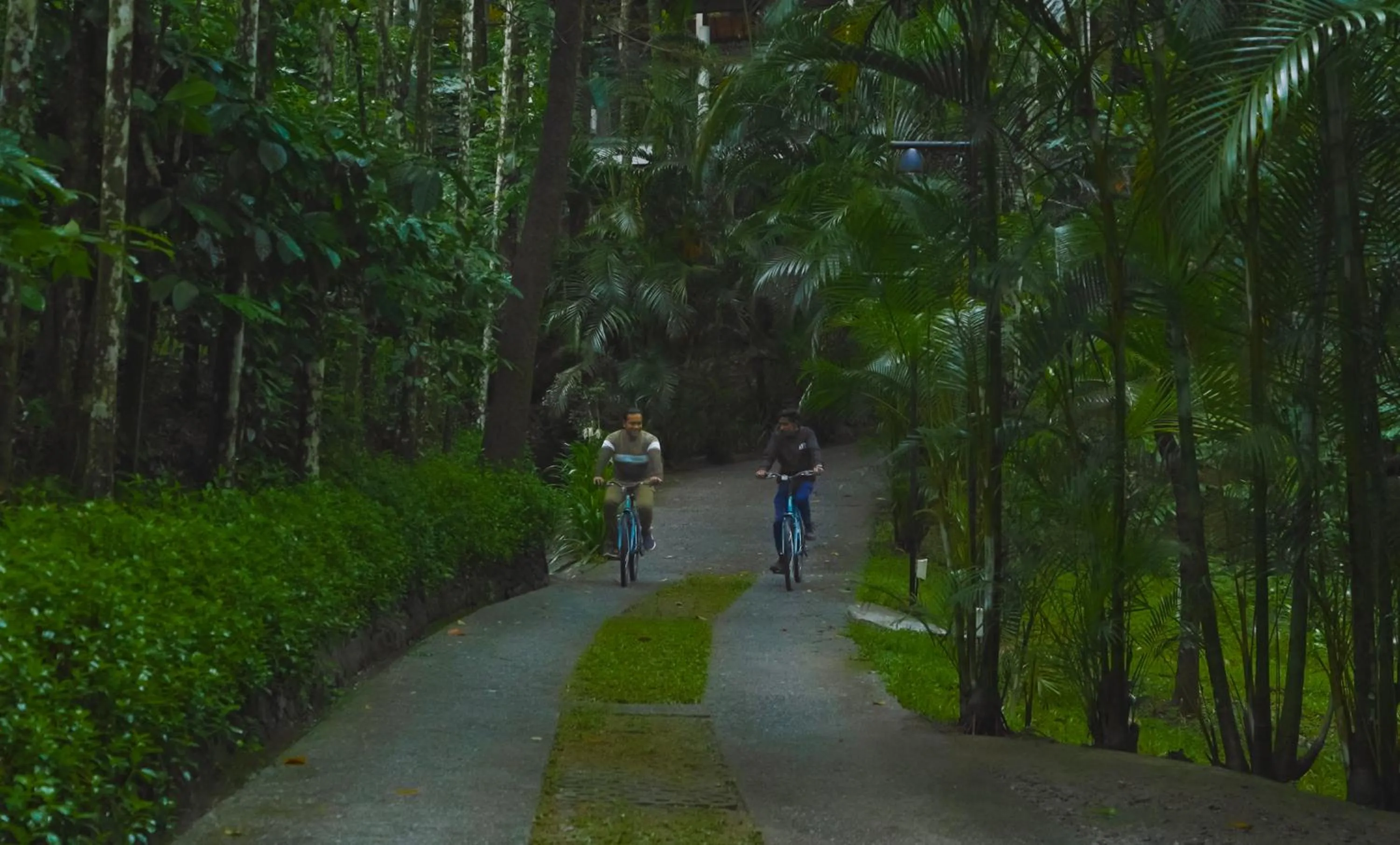 Cycling in The Hive, Wayanad
