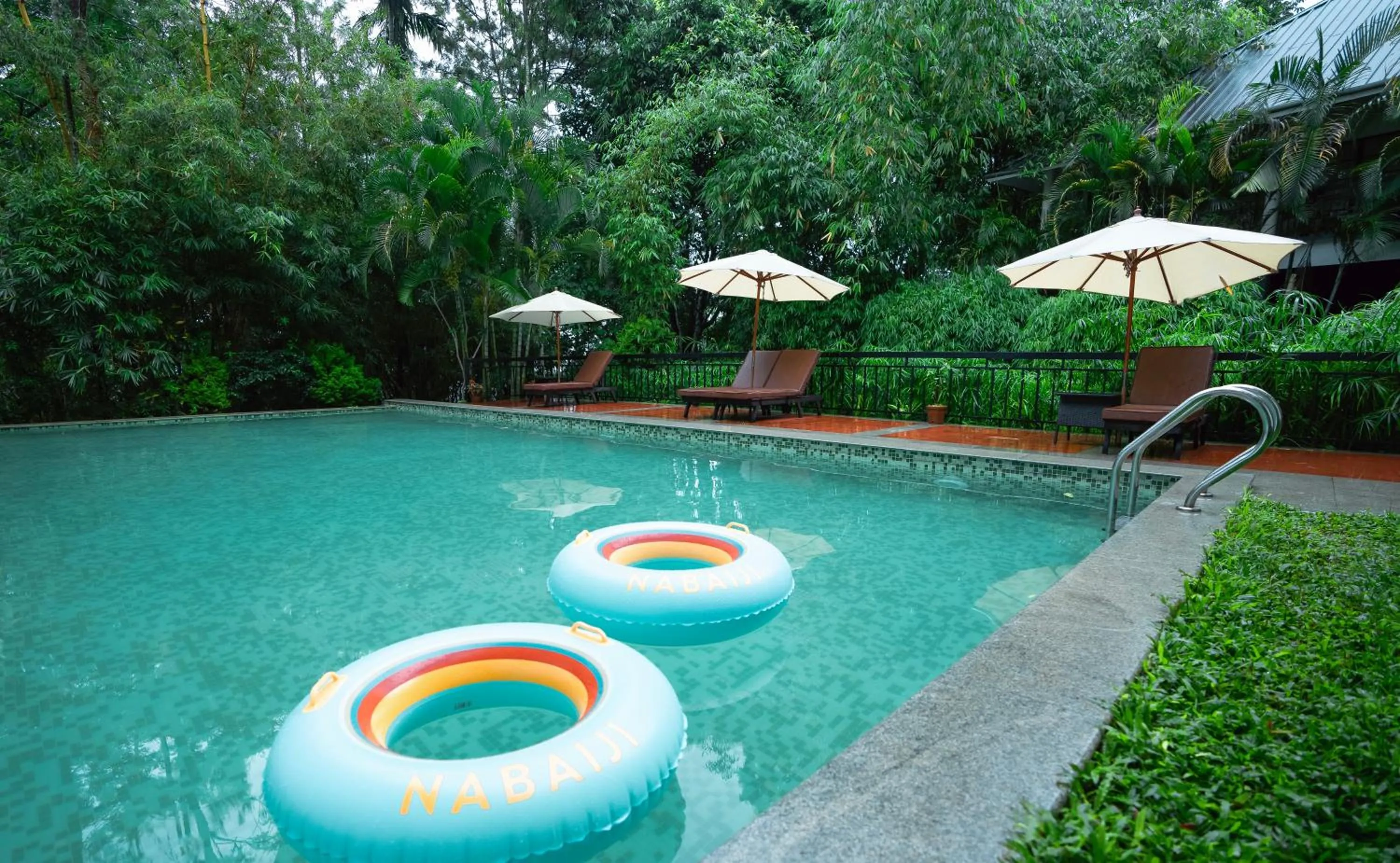 Swimming pool in The Hive, Wayanad