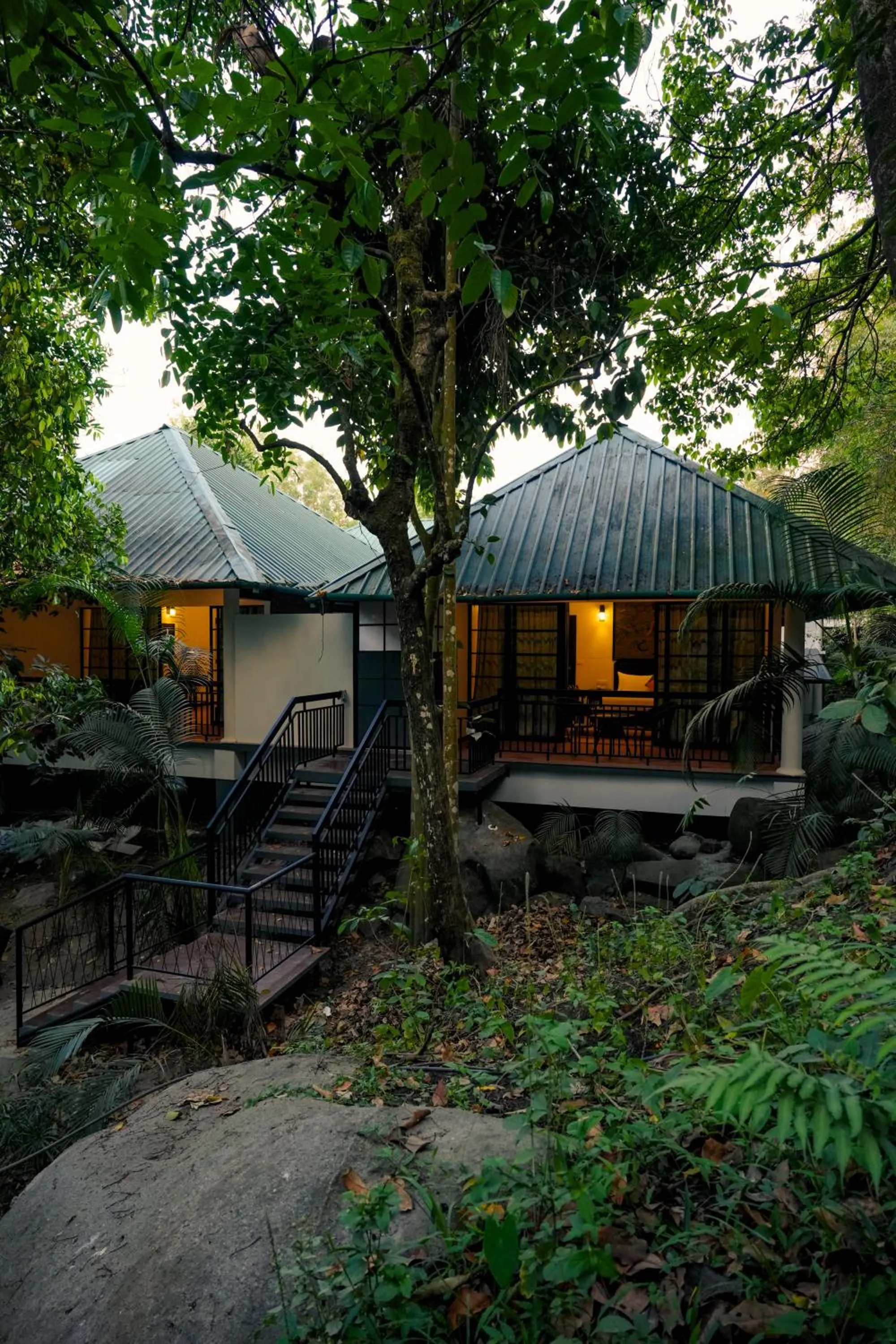 Garden in The Hive, Wayanad