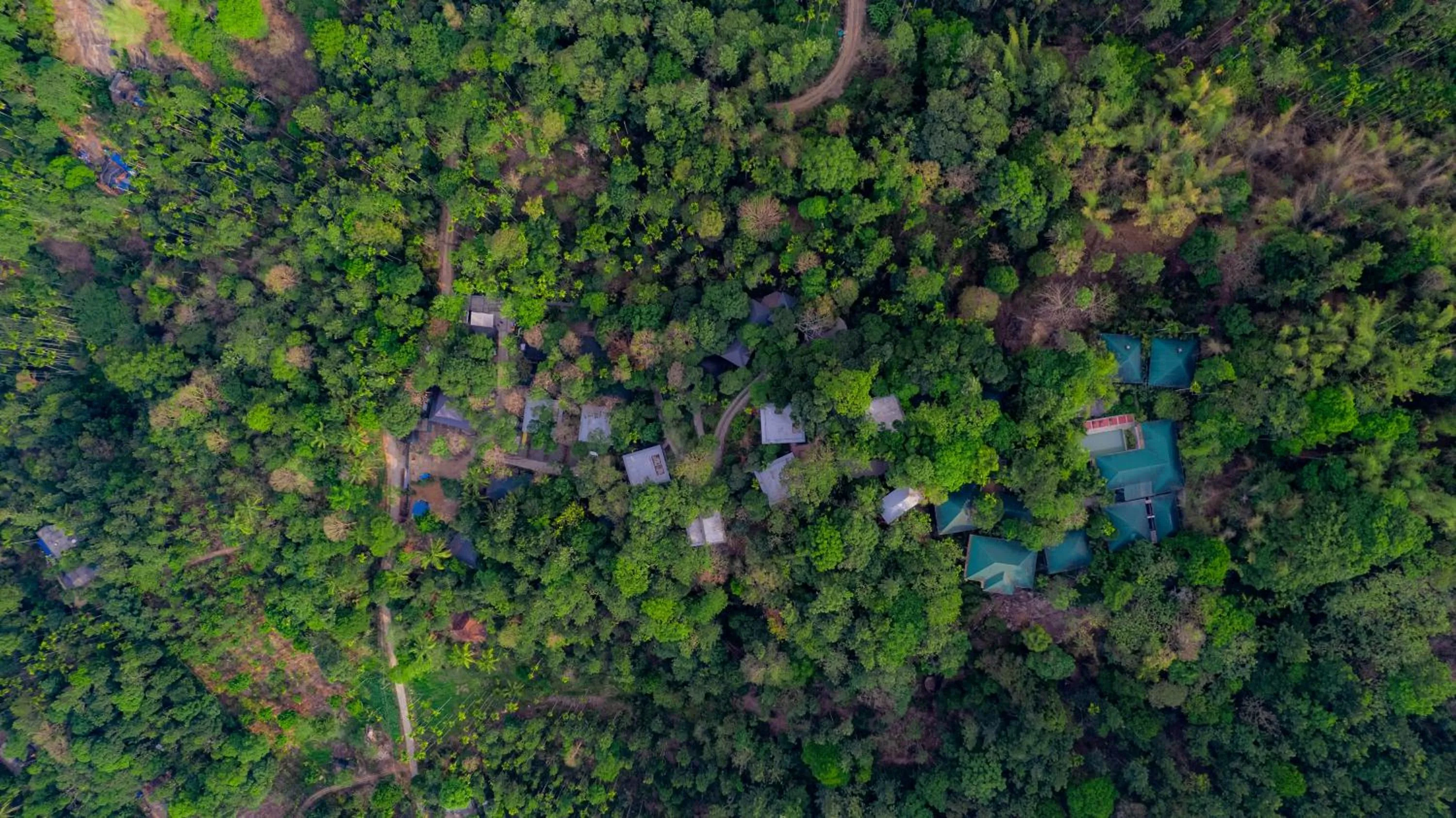 Property building in The Hive, Wayanad