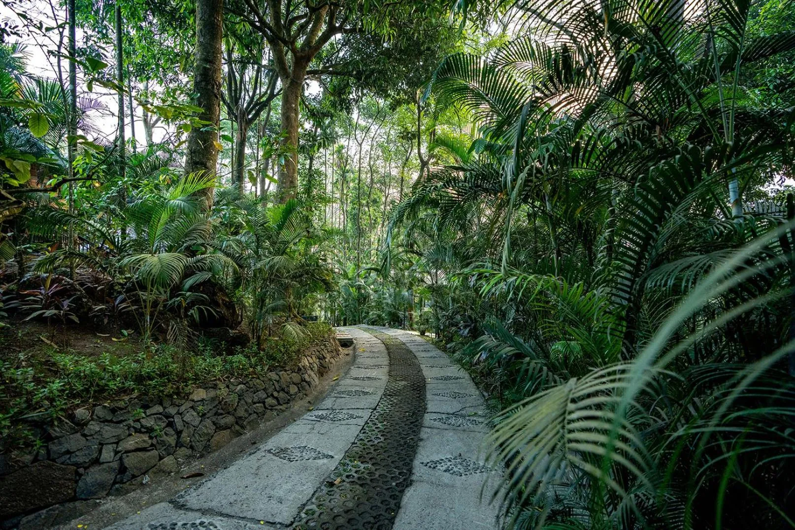 Garden in The Hive, Wayanad