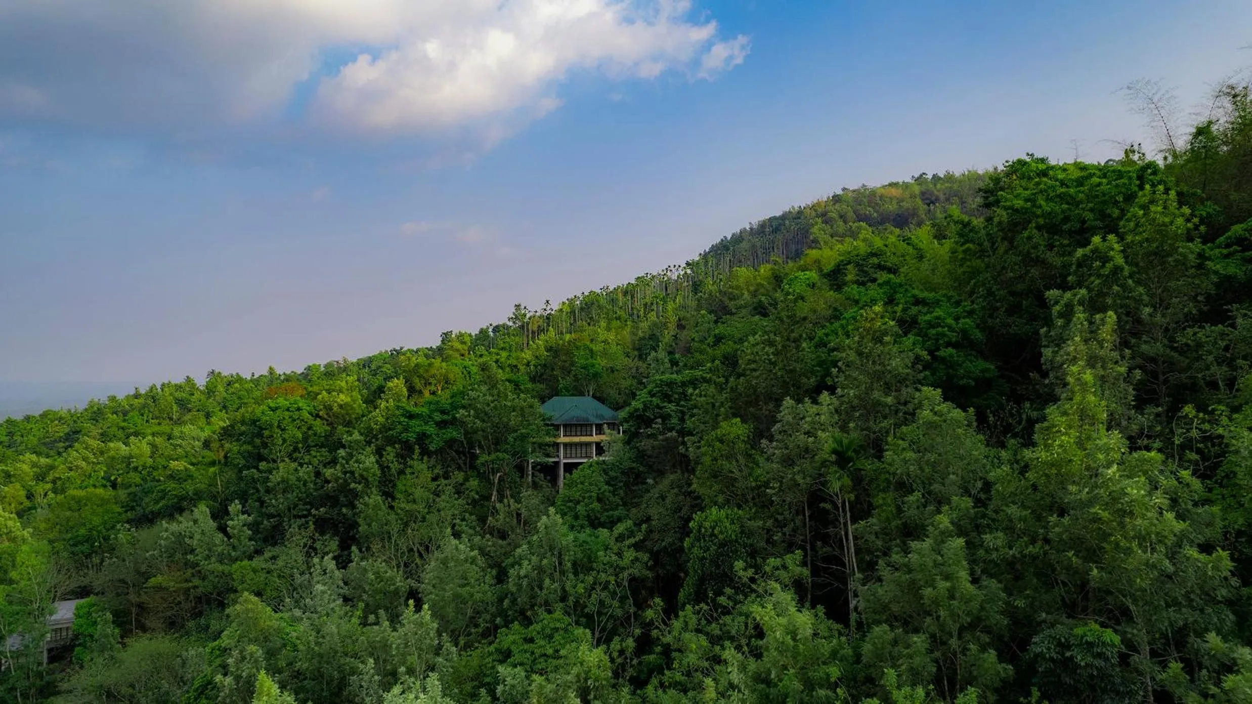 Bird's eye view in The Hive, Wayanad