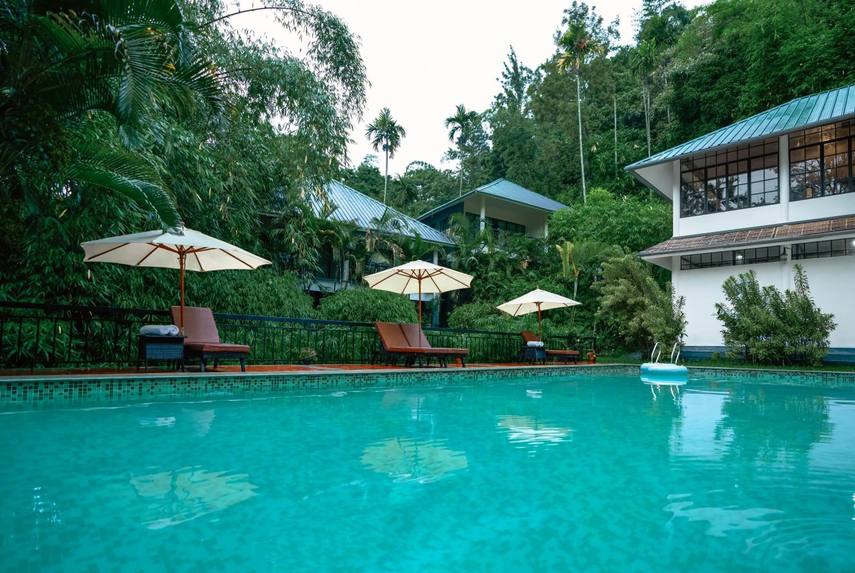Swimming pool in The Hive, Wayanad