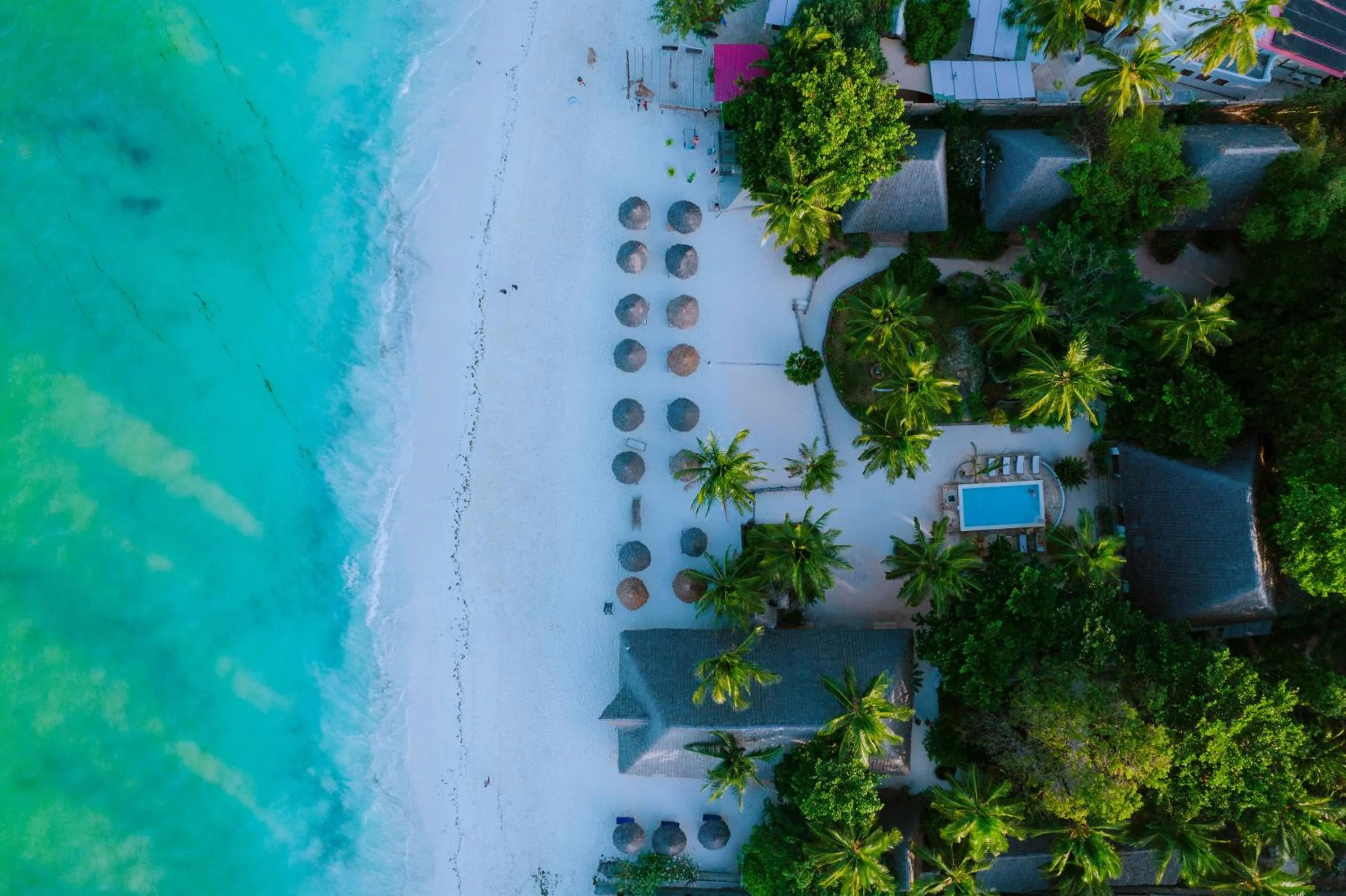 Beach in Mambo Ocean Resort