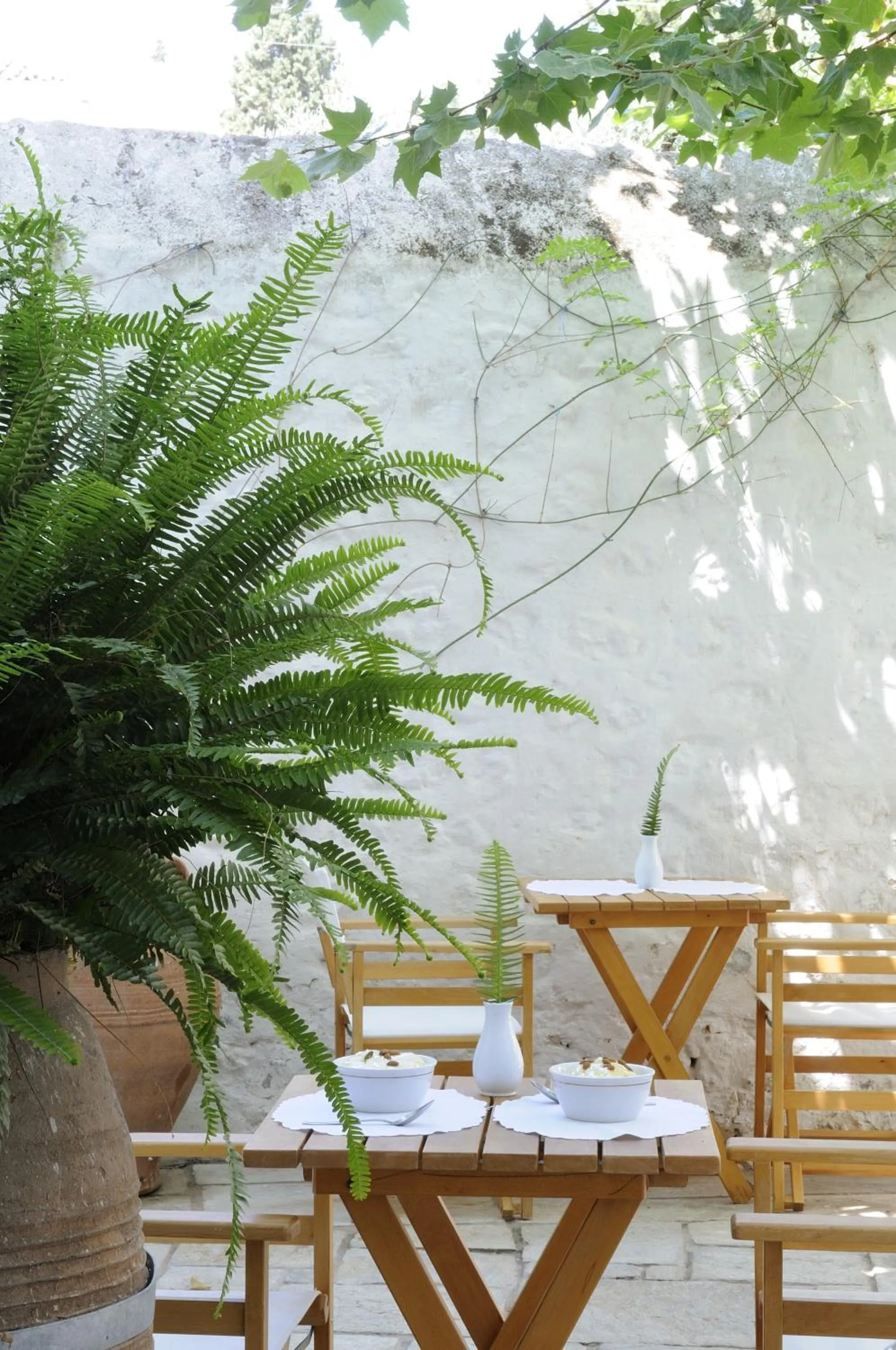 Patio in Hotel Leto Hydra