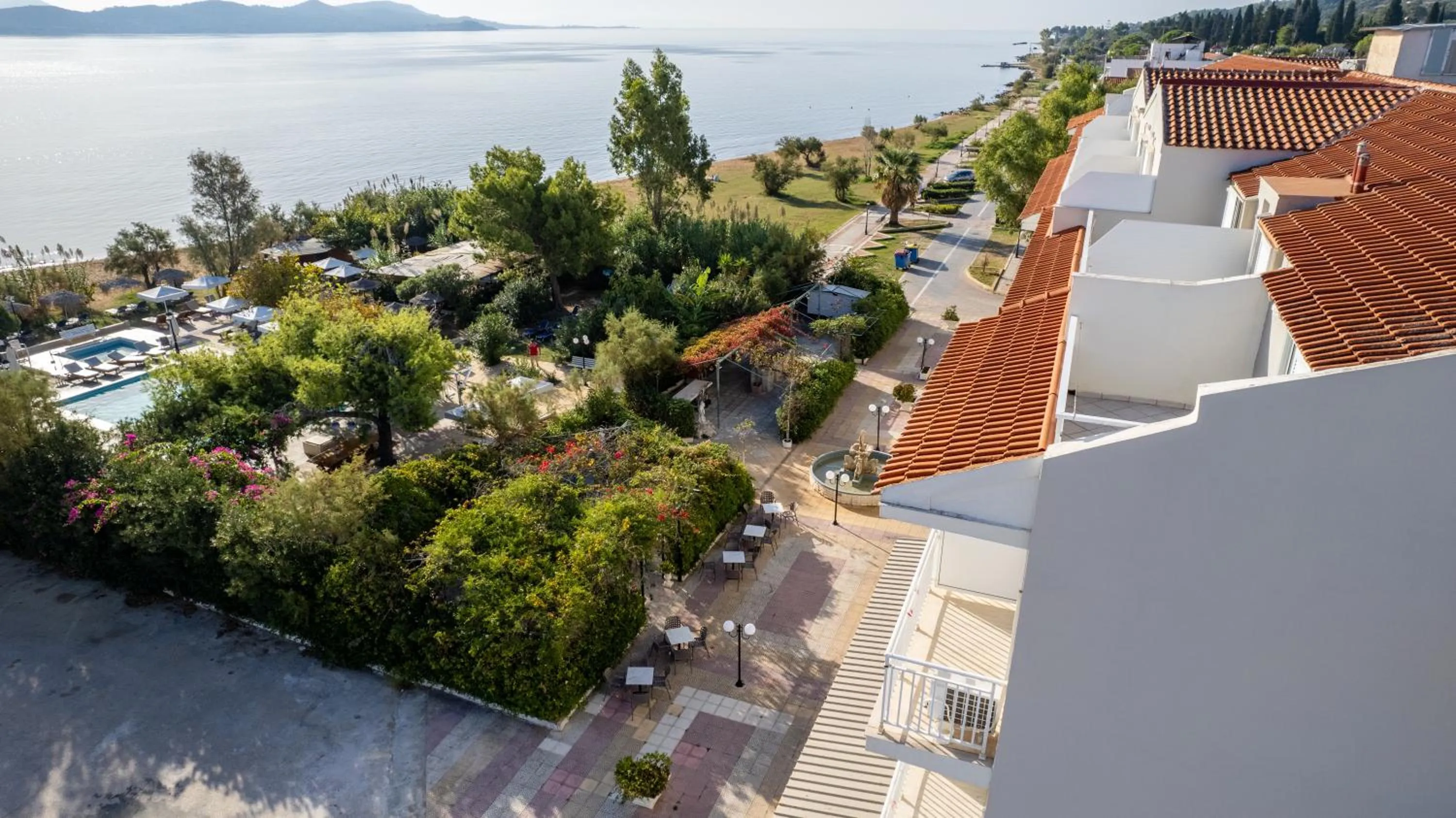 Garden in Hotel Summery