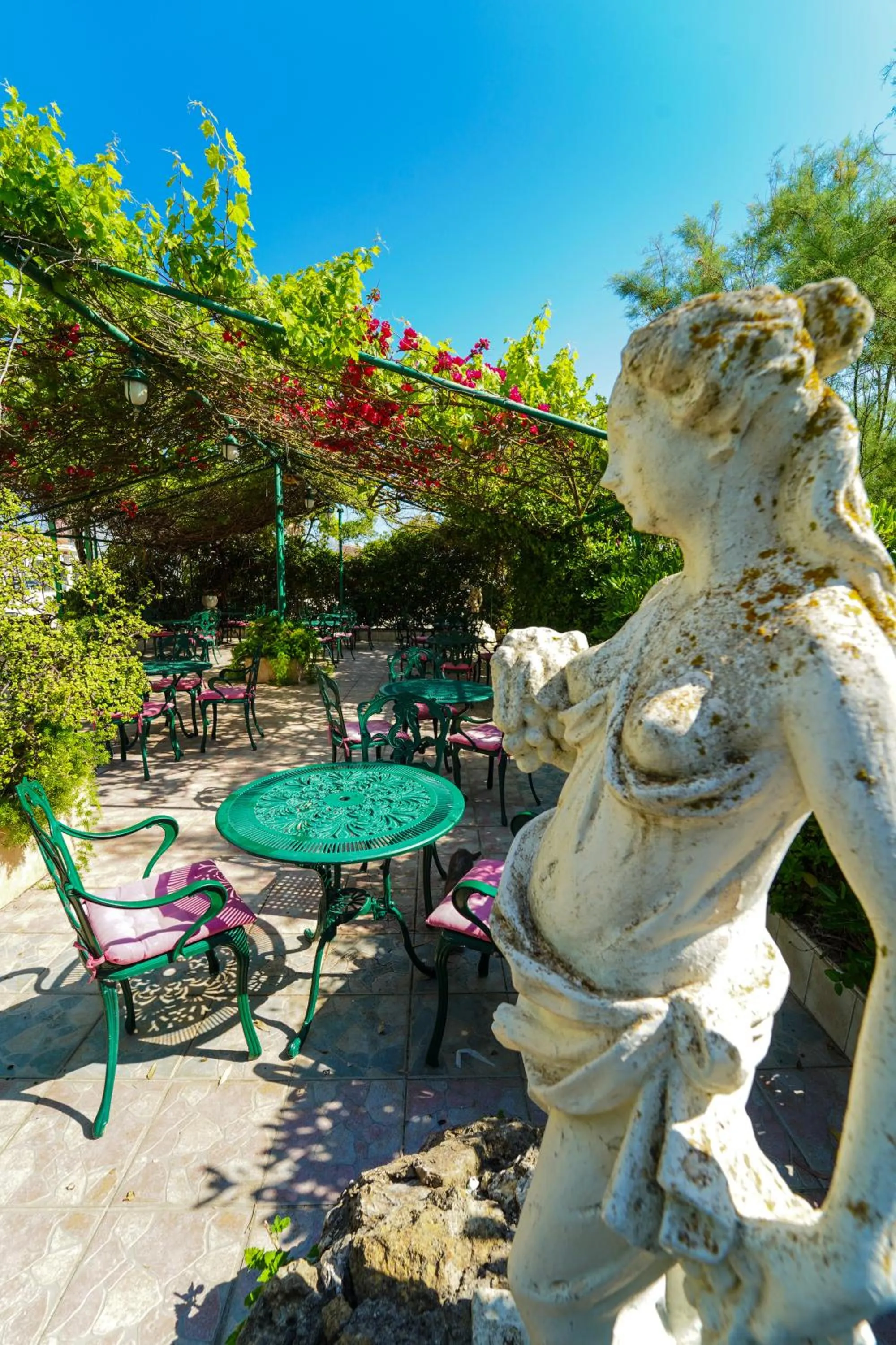 Patio in Hotel Summery