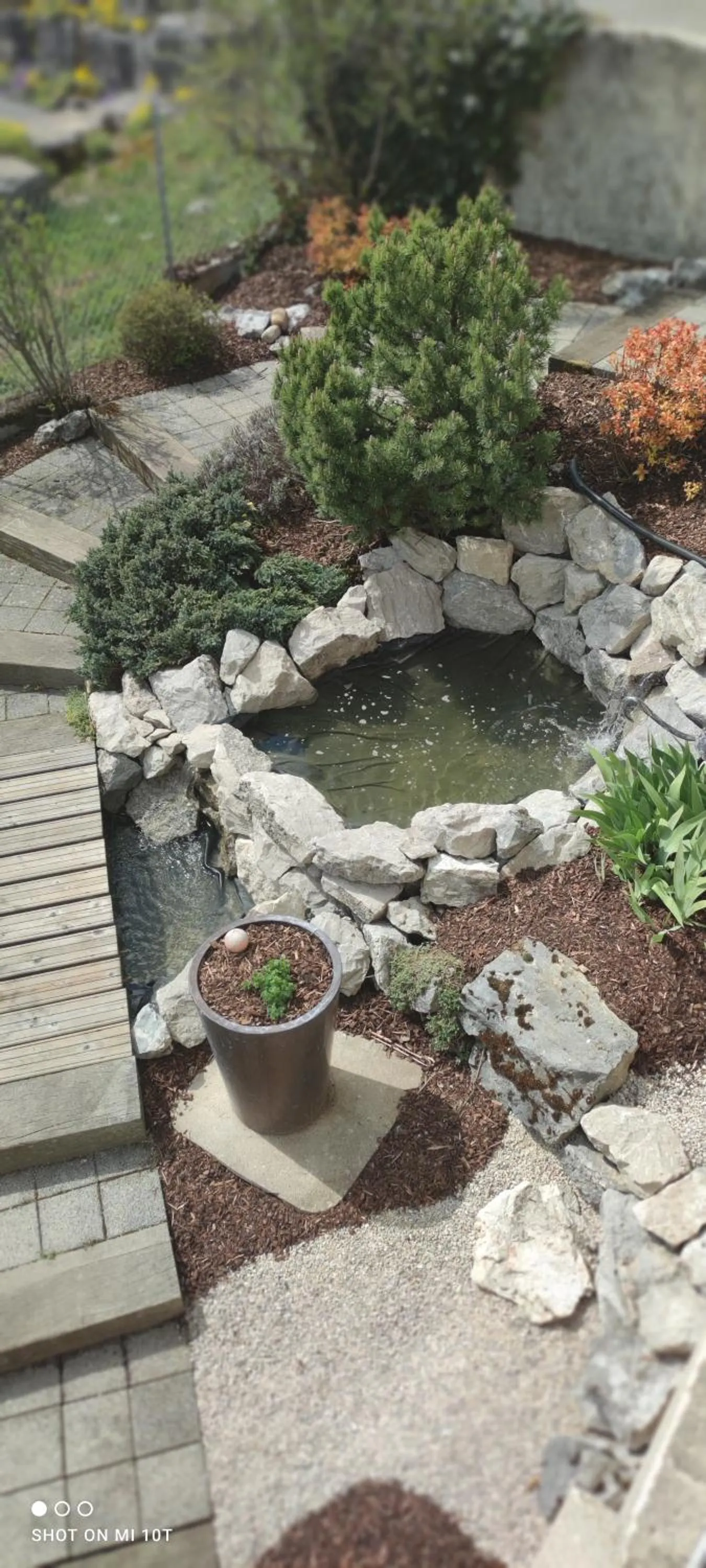 Garden view in Chambres d'hôtes Au Doubs Murmure