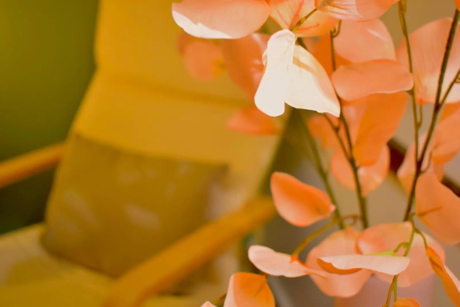 Decorative detail in Carmen Art Hotel