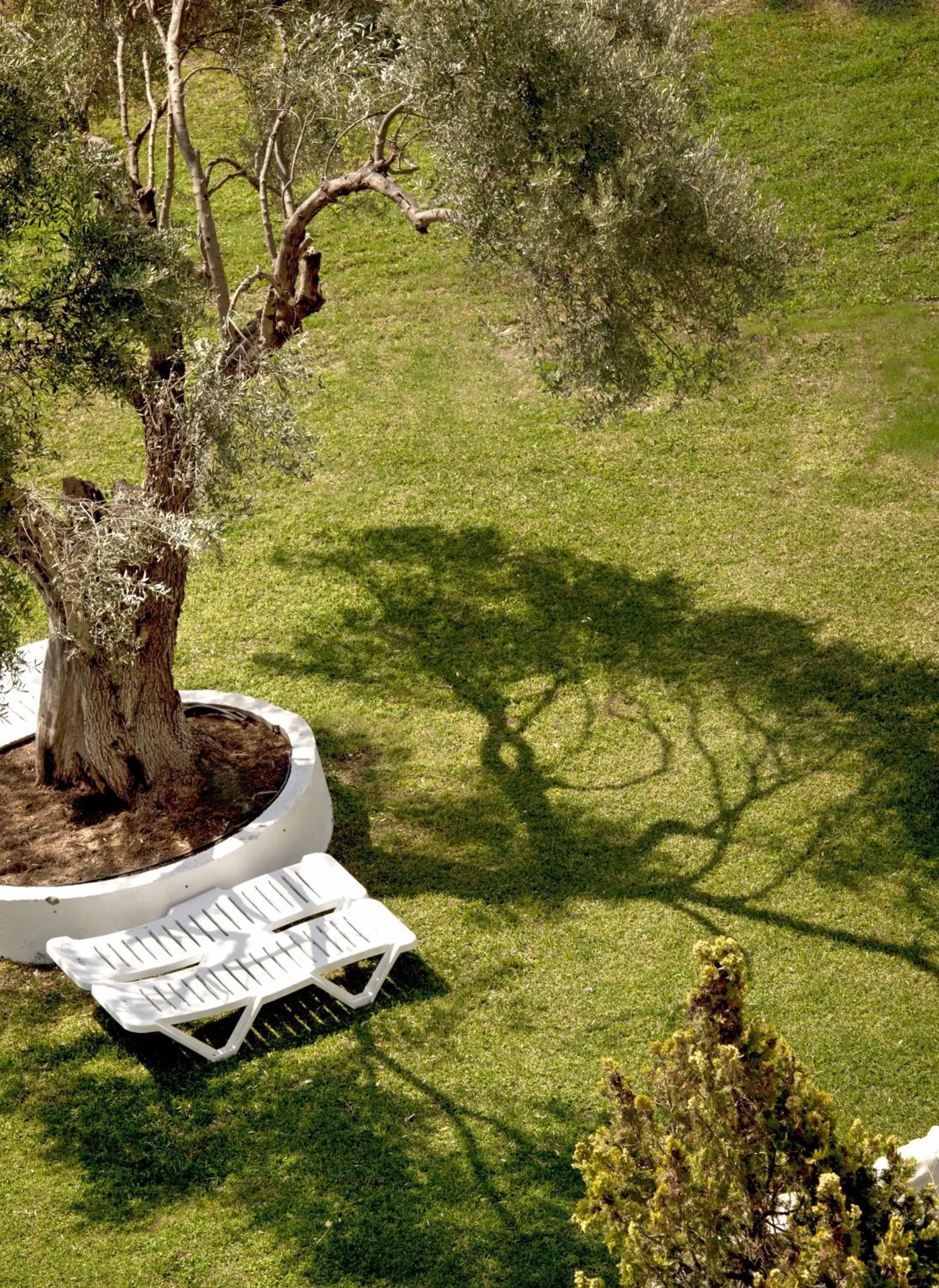 Other in Palmariva Beach Hotel